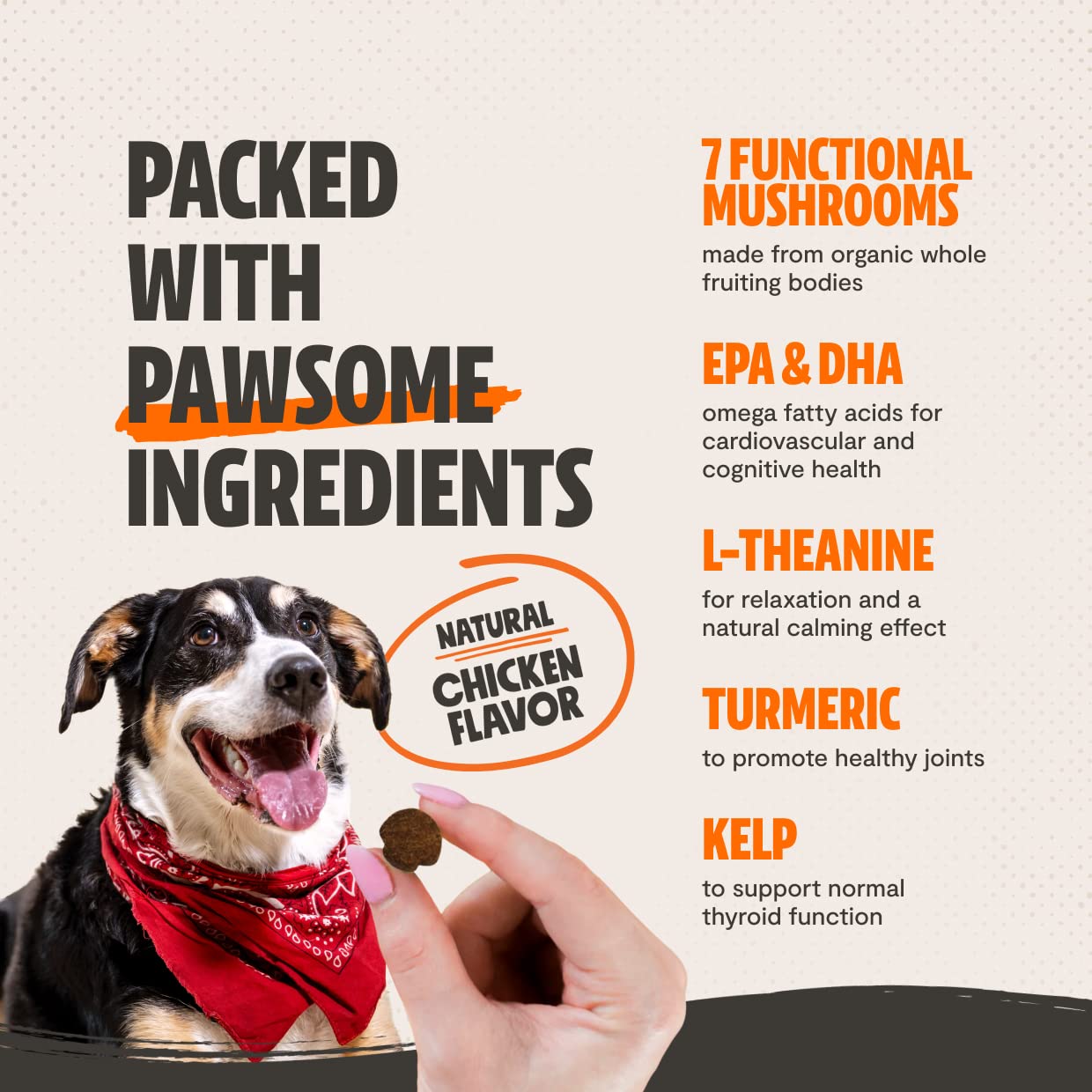 Shroomies - Organic Mushroom Complex for Dogs - Turkey Tail, Lions Mane - DHA, EPA, Turmeric and Kelp - 180 Soft Chews - Immunit