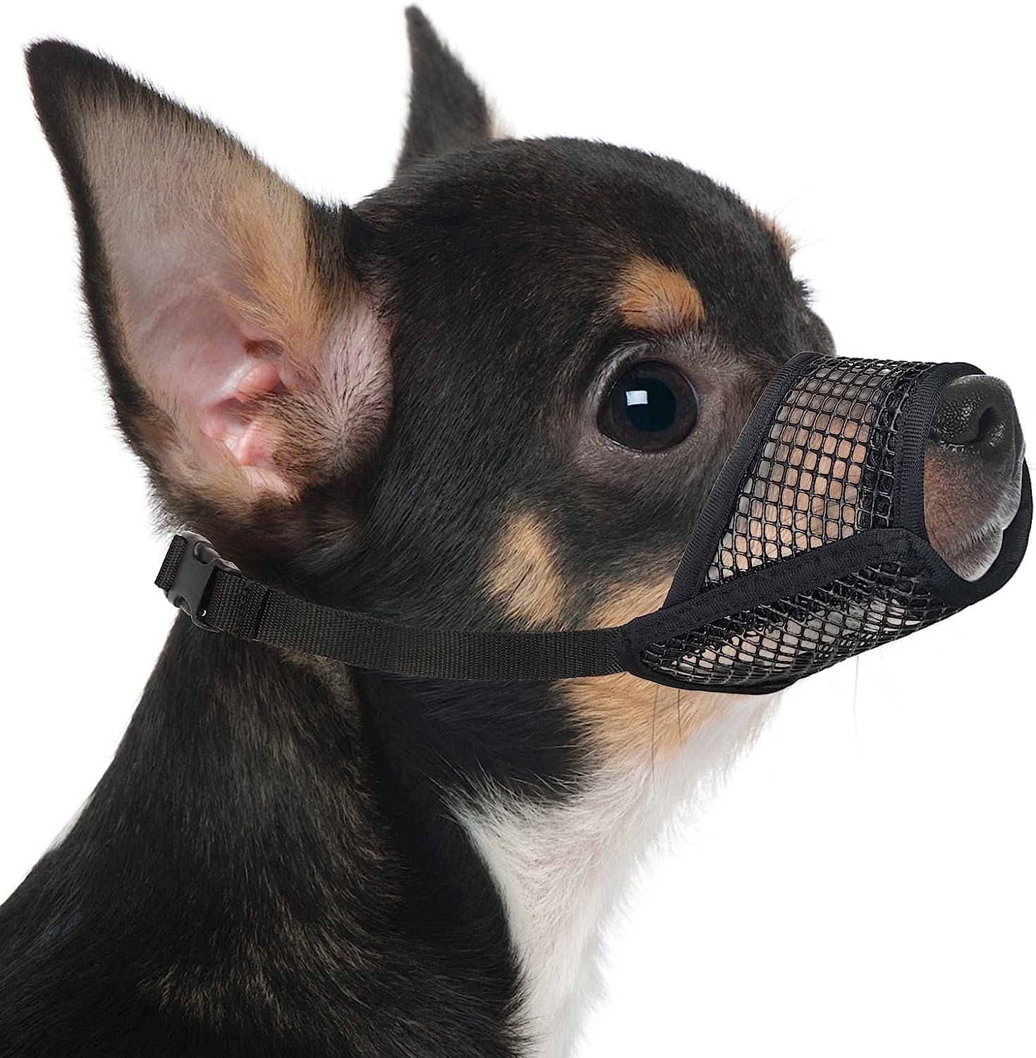 Mayerzon Dog Muzzle, Soft Mesh Muzzles For Small Medium Large Dogs Chihuahua Poodle Husky Labrador Retriever, Breathable Dog Mouth Guard For Biting Chewing Grooming, Allow Panting Drinking(Xs, Black)
