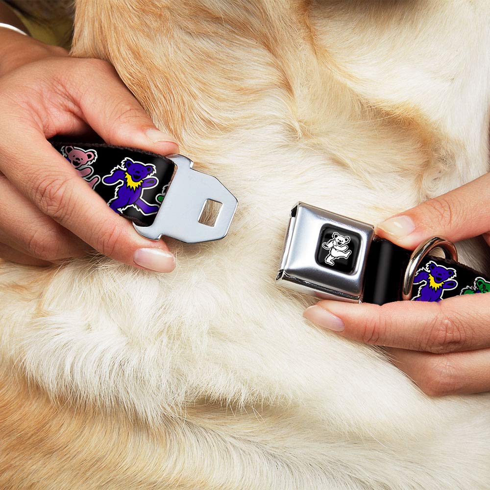 Buckle-Down Seatbelt Buckle Dog Collar - Dancing Bears Black/Multi Color - 1' Wide - Fits 11-17' Neck - Medium
