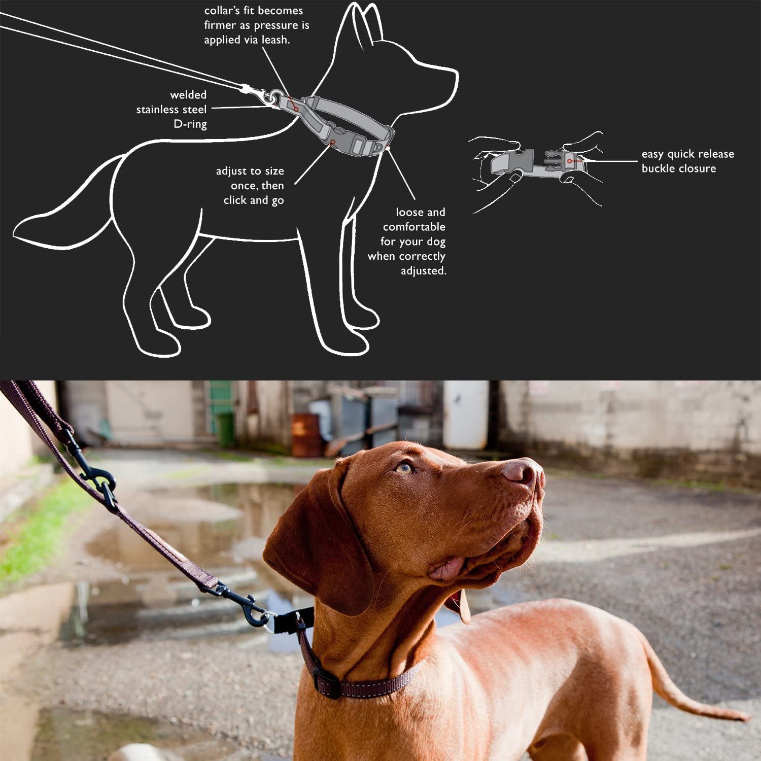 Ezydog Checkmate Martingale-Style Premium Nylon Safety Training And Correction Dog Collar - Quick-Clip Buckle And Reflective Stitching - Easy Control With No Choking Effect (Large, Red)