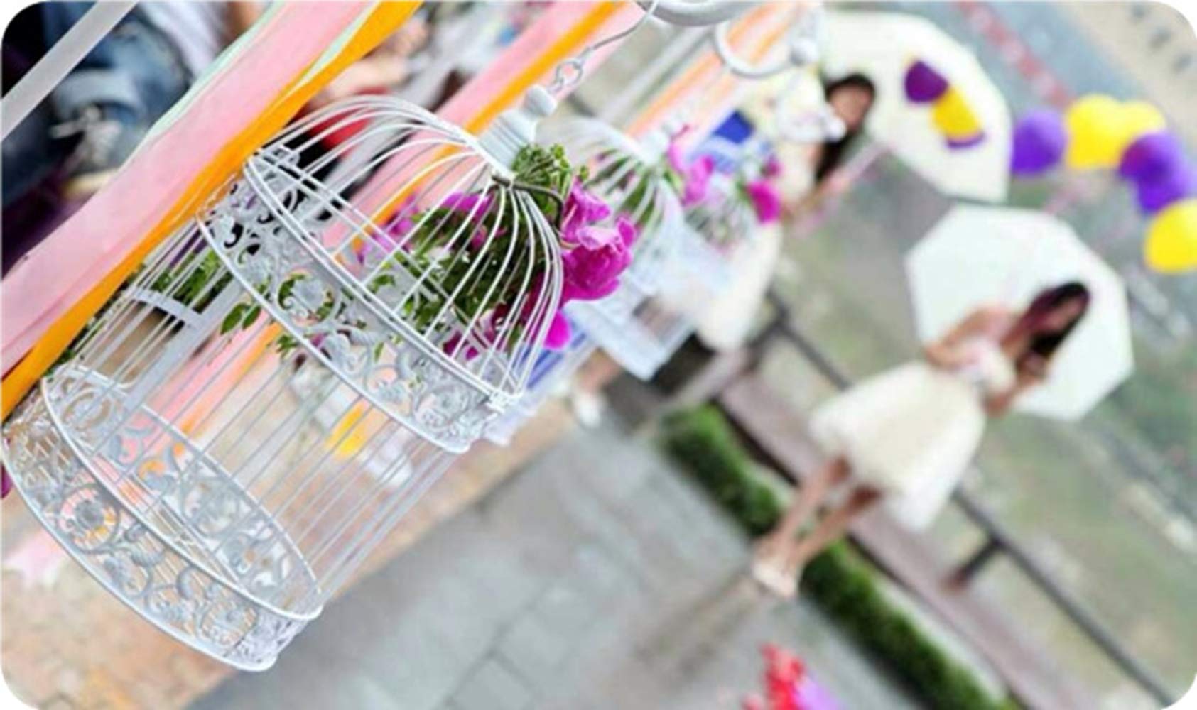 Pet Show Round Birdcages Wedding Gift Cards Holder Metal Wall Hanging Bird Cage For Small Birds Party Indoor Ourdoor Decoration 10.6“ Black Pack Of 1