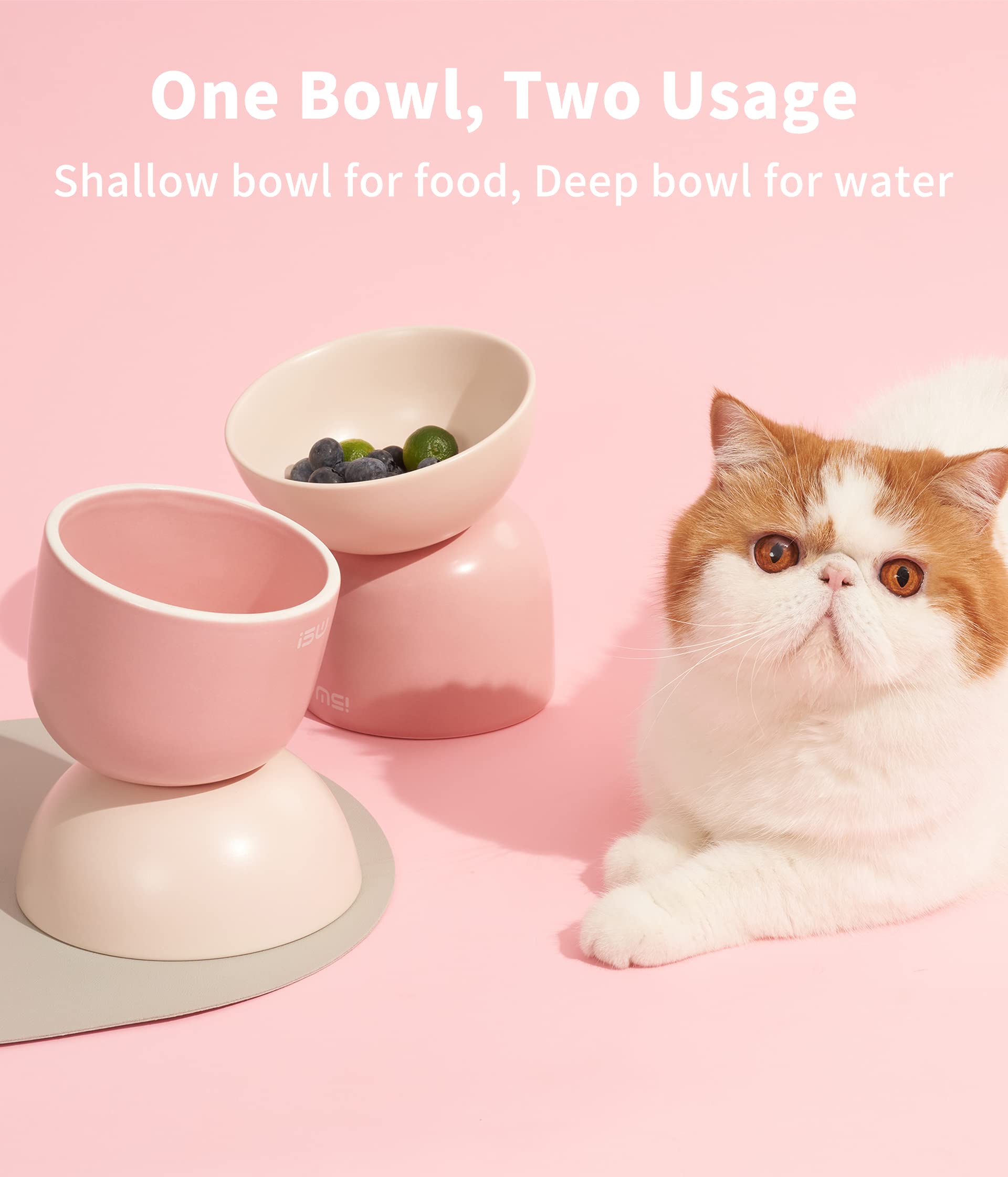 Elevated Cat Food Bowl, Ceramic Cat Bowls for Food and Water, Cat Bowls Whisker Friendly, Lead & Cadmium Free, 15Tilted Non-Slip