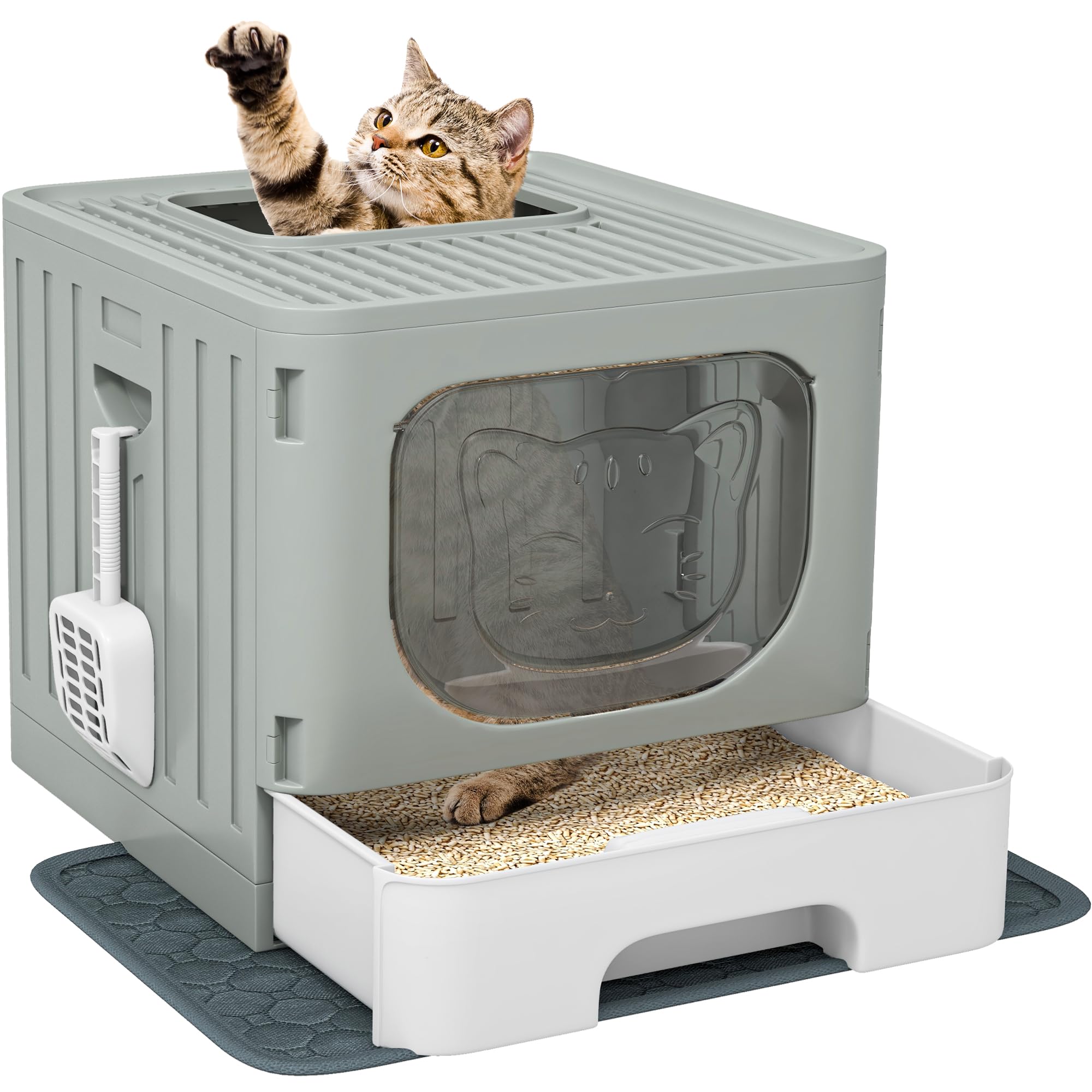 DWVO Enclosed Cat Litter Box with Two-Way Entry/Exit, Large Anti-Splash Hooded Litter Box with Mat and Litter Scoop, Easy Asseml