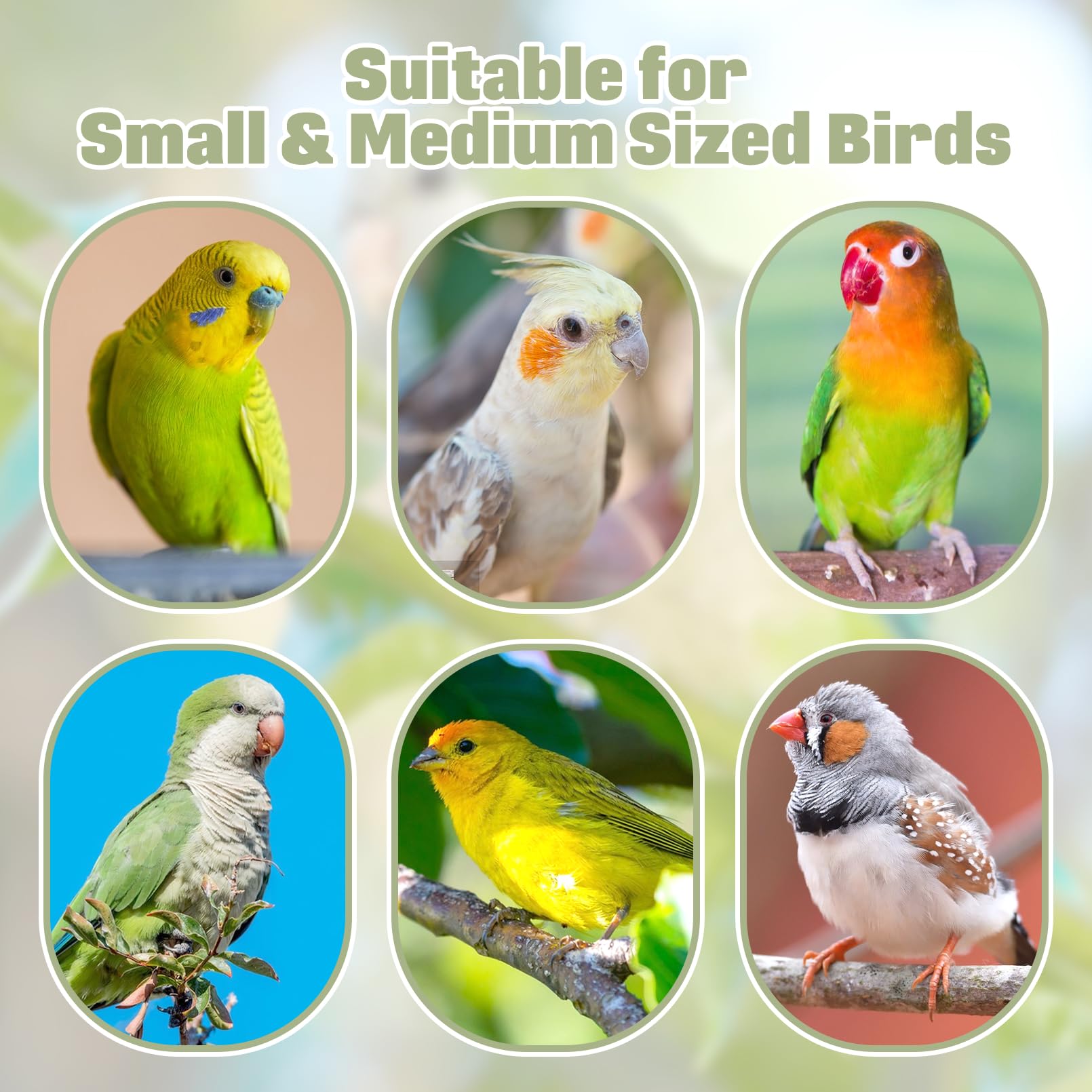 BNOSDM Wooden Bird Foraging Toys with Enrichment Puzzle for Training & Chewing Natural Wood Stand Platform Feeder Cage Accessori