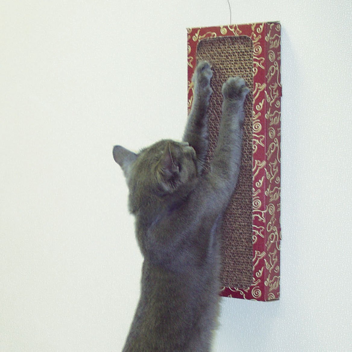 Cat Dancer Wall Mounted Cat Scratcher Pad With Command Strips For Adhesion, Vertical Cardboard Wall Scratcher For Cat Claws, Includes Free Cat Toy For Indoor Cats - 6.25'L X 1.75'W X 18'H