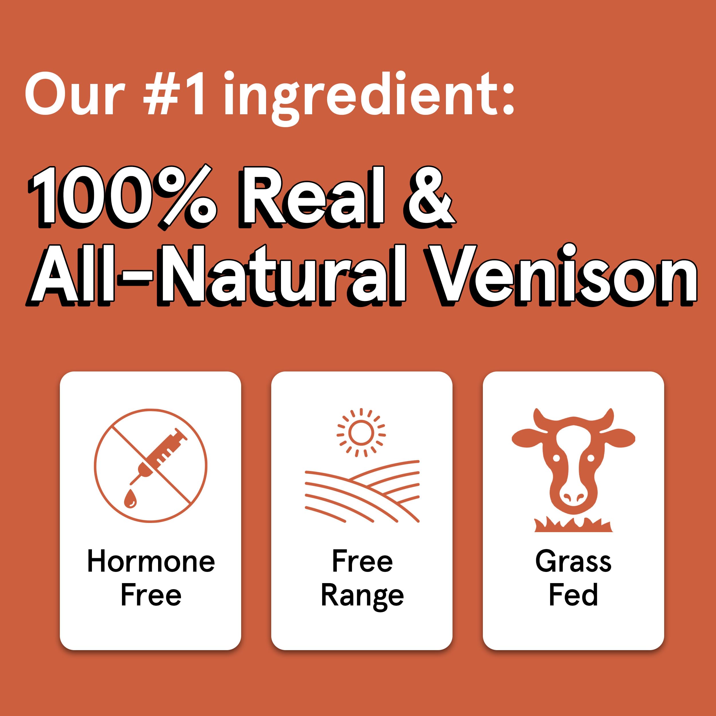 Real Meat Dog Treats - 12oz Bag of Bite-Sized Air-Dried Venison Jerky for Dogs - Grain-Free Jerky Dog Treats Made up of 95% Huma