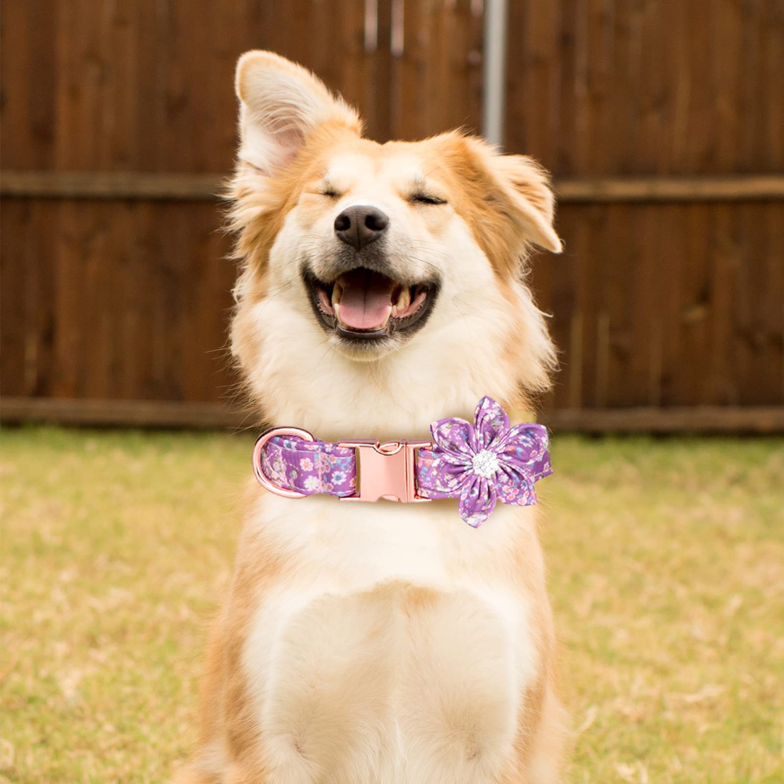 Tdtok Girl Dog Collar For Small Medium Large Dogs, Cute Dog Collar With Detachable Flower Safety Metal Buckle Adjustable Floral Pattern Soft Comfy Cotton Dog Collars, Fit Necks 10.2-23.6