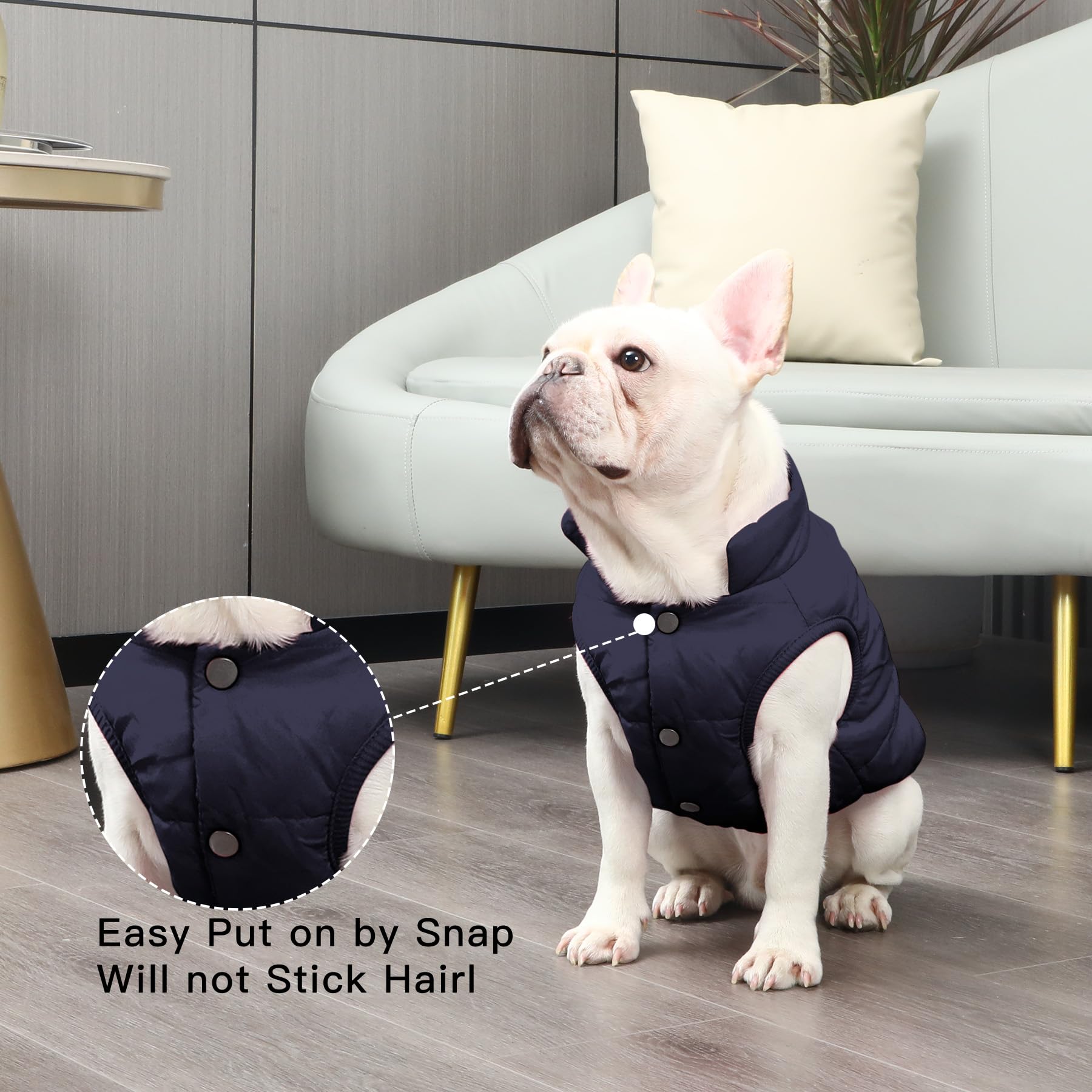 JoyDaog Warm Dog Jacket - Fleece Lined, Windproof, Medium Size, Blue, Model 4334715216