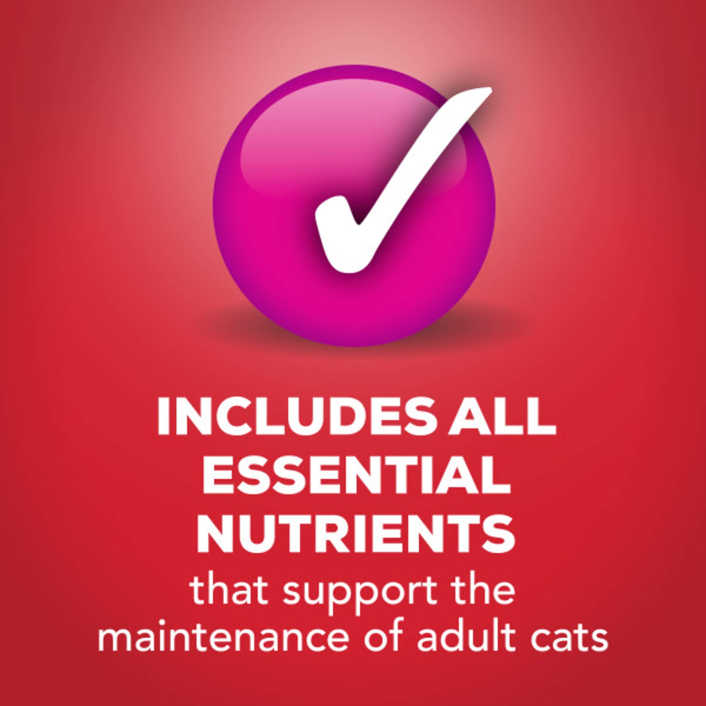 Purina Friskies Gravy Wet Cat Food, Beef Prime Filets, 24 Pack of 5.5 oz Cans