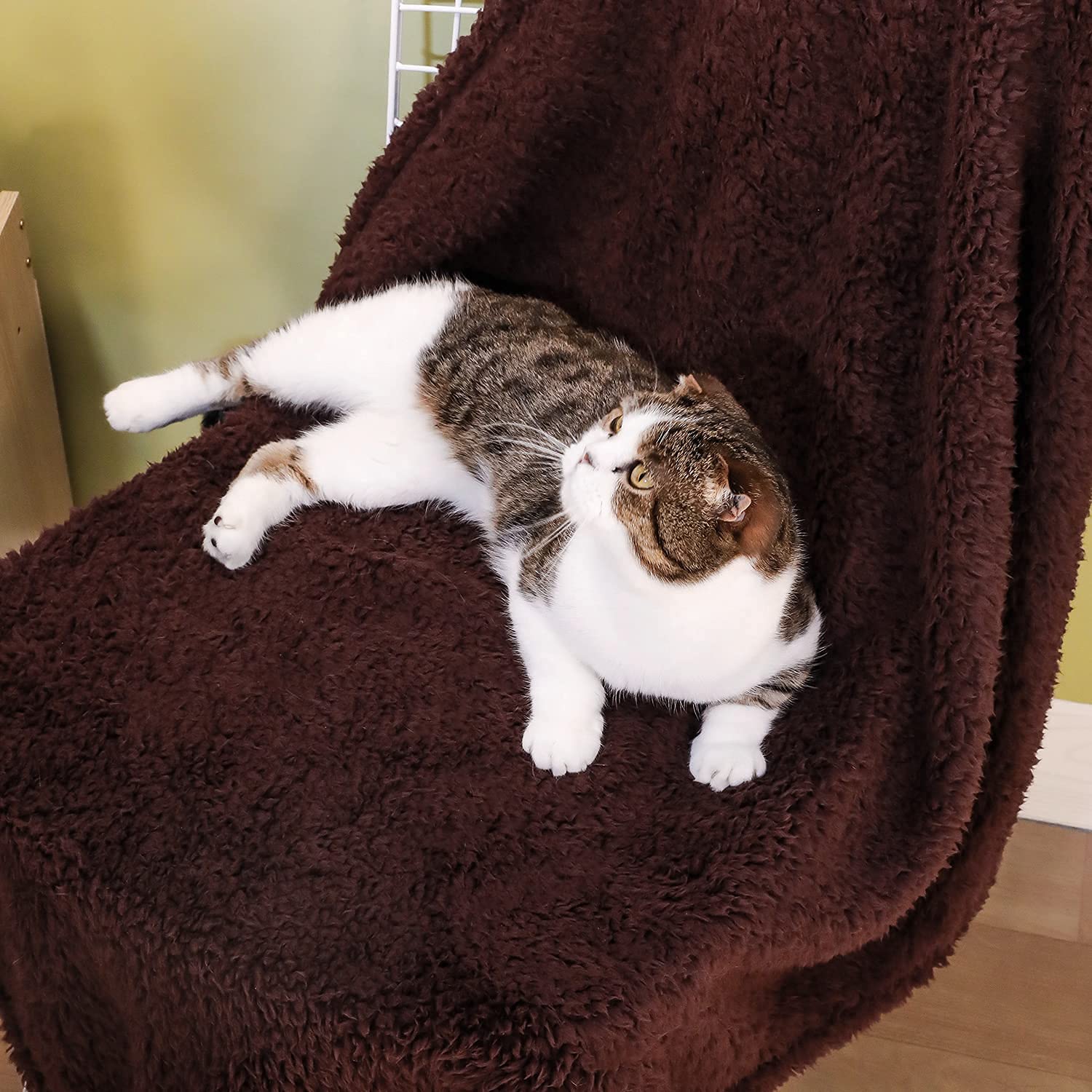 XINSOURCE 2 Pack Dog Blanket for Small Size Dogs Cats Soft Sherpa Fleece Pet Blanket Throw for Sofa, Couch Thick Durable Pet Bed