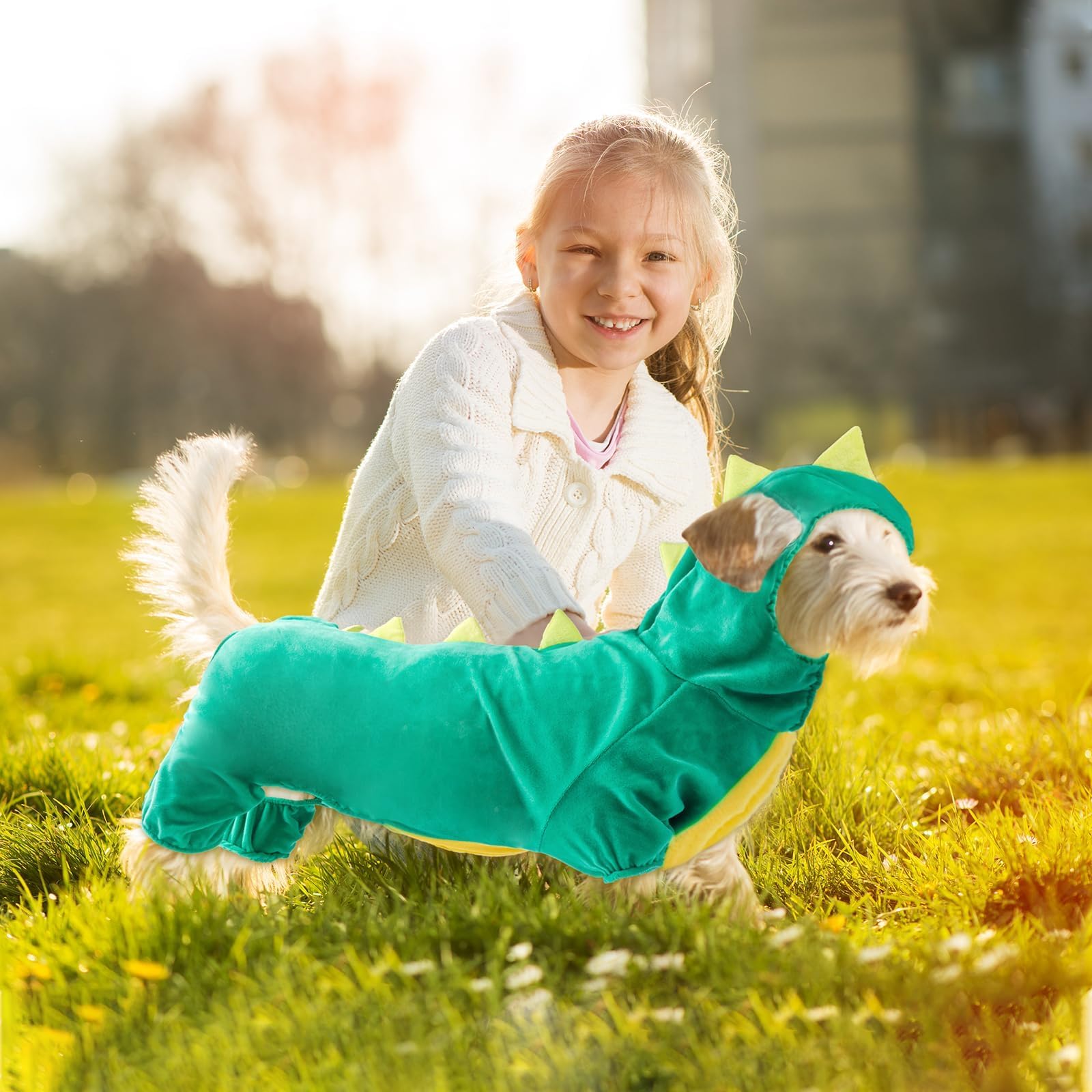 Hotumn Dinosaur Dog Halloween Costume Pet Dino Hoodie For Small Dogs (Medium, Green)