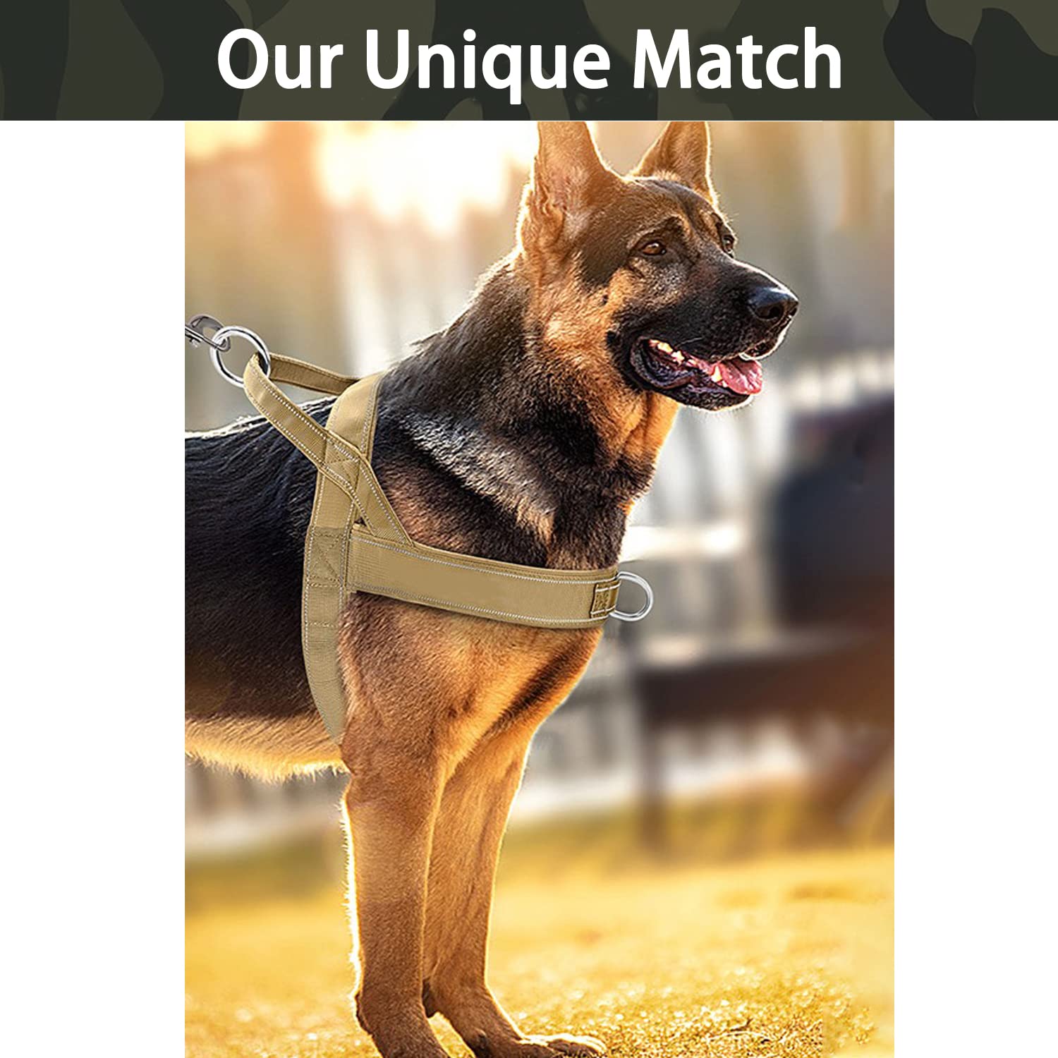 Qifbyfb No Pull Dog Harness For Medium Large Dog, Reflective Escape Proof Adjustable No Pulling Dog Harness, Dog Harness Brown L