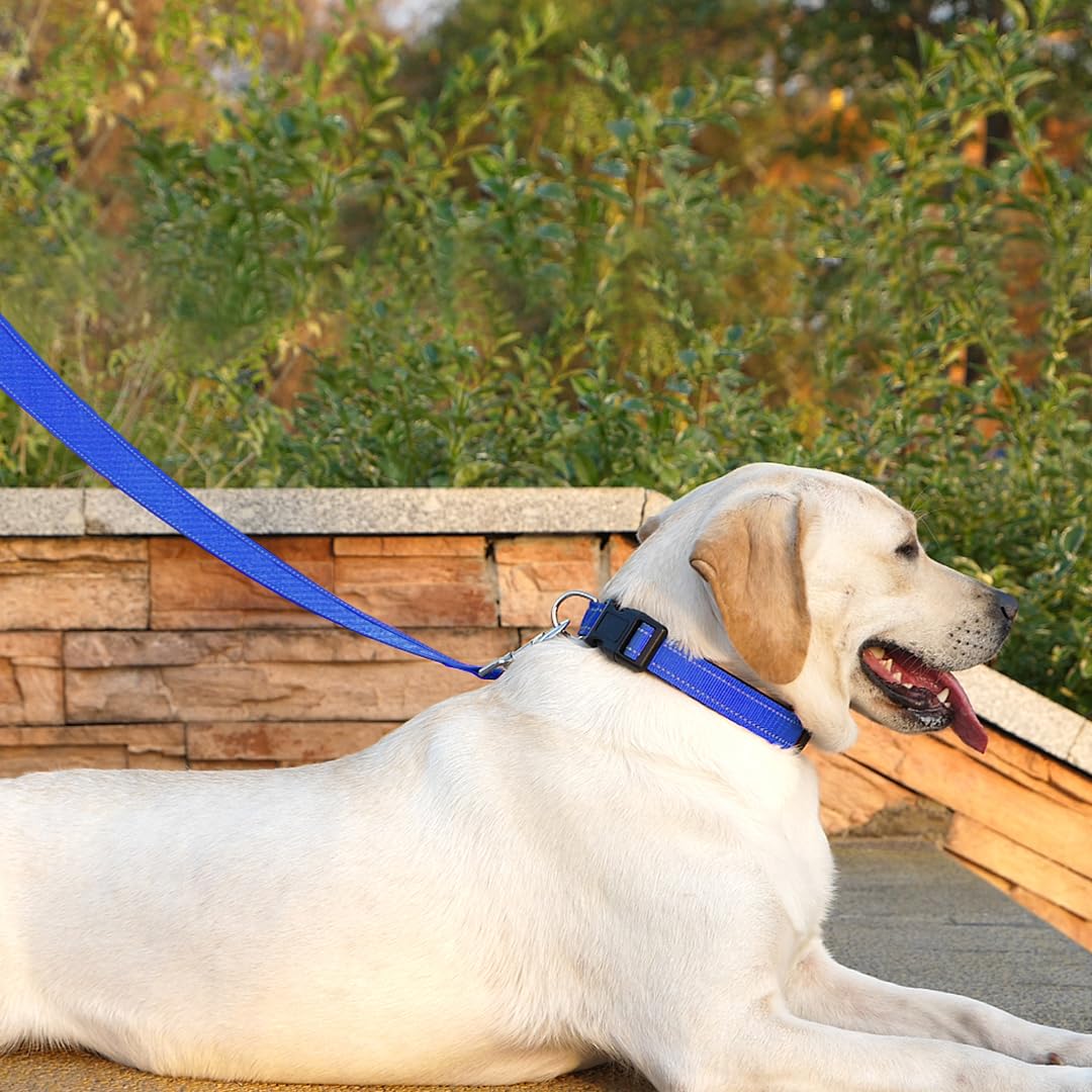 Penseepet Dog Leash 6 Ft Padded Handle Nylon Reflective Dogs Leashes For Medium Dogs Blue