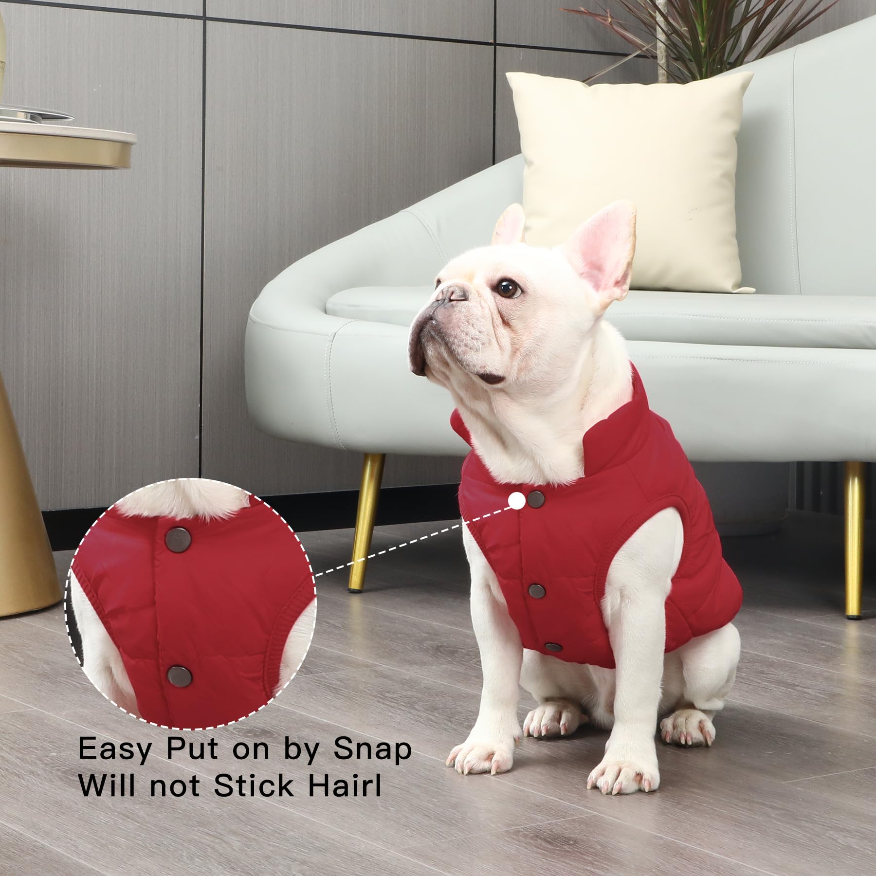 Joydaog Warm Fleece Dog Jacket For Small Dogs,Puppy Coat For Winter Cold Weather,Red Xsmall