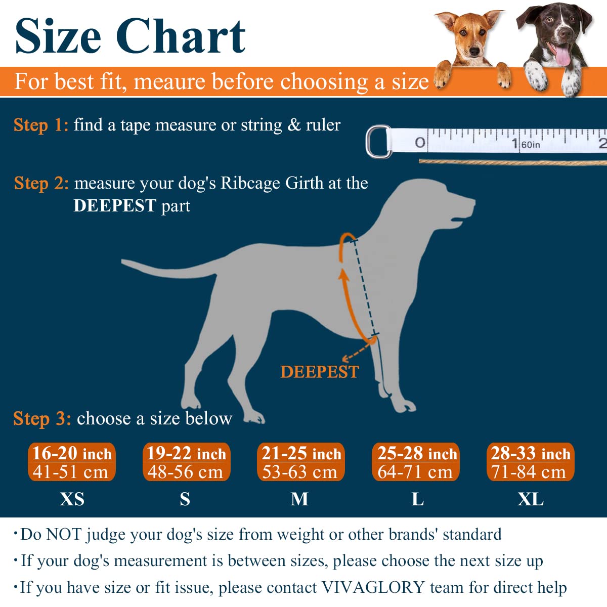 Vivaglory Lightweight Dog Life Jacket, Pet Life Preserver Life Vest Skin-Friendly Neoprene For Medium Dogs With D-Ring And Quick