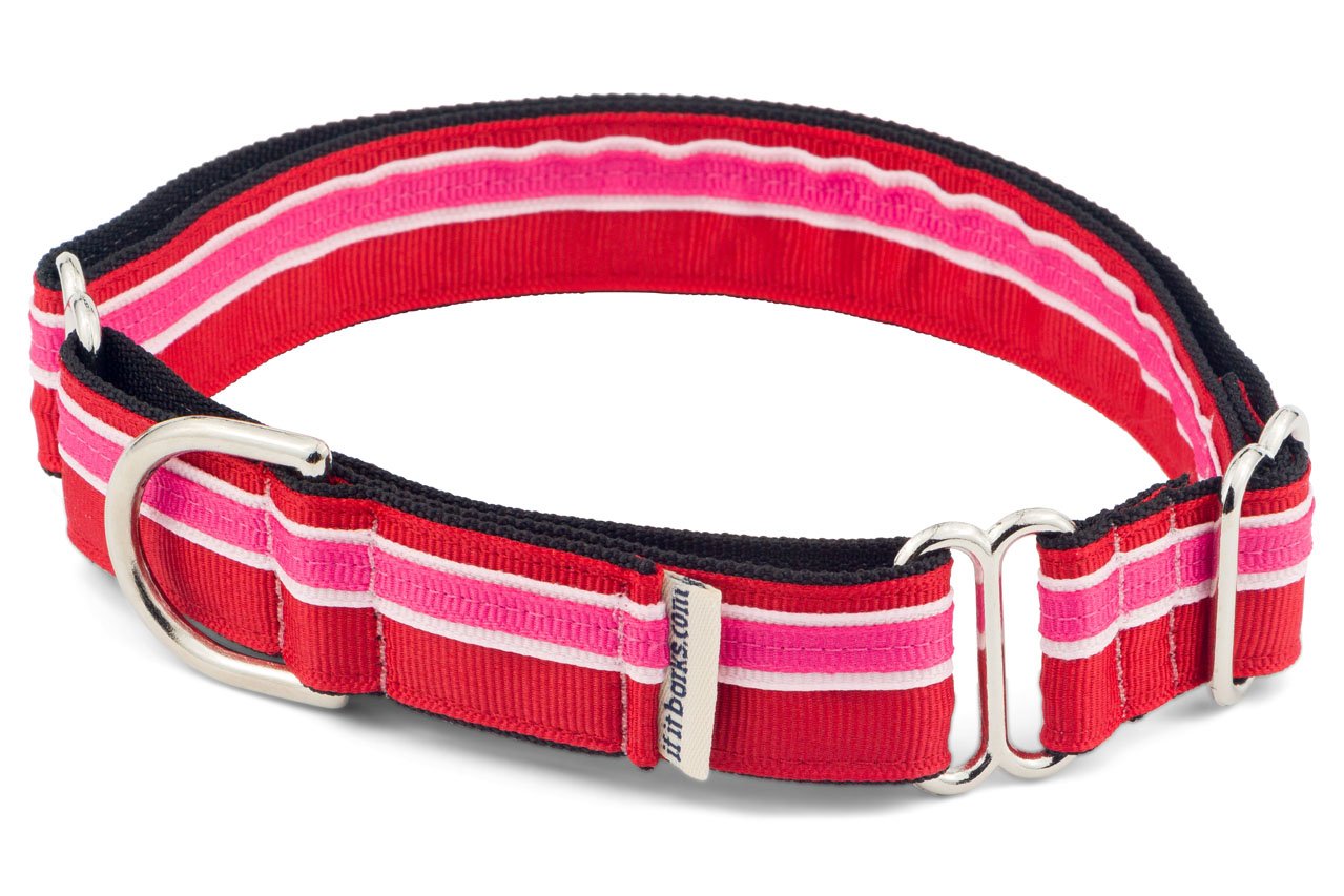 If It Barks 1'' Martingale Collar For Dogs, Adjustable Nylon, Usa Made, Large, Shortcake