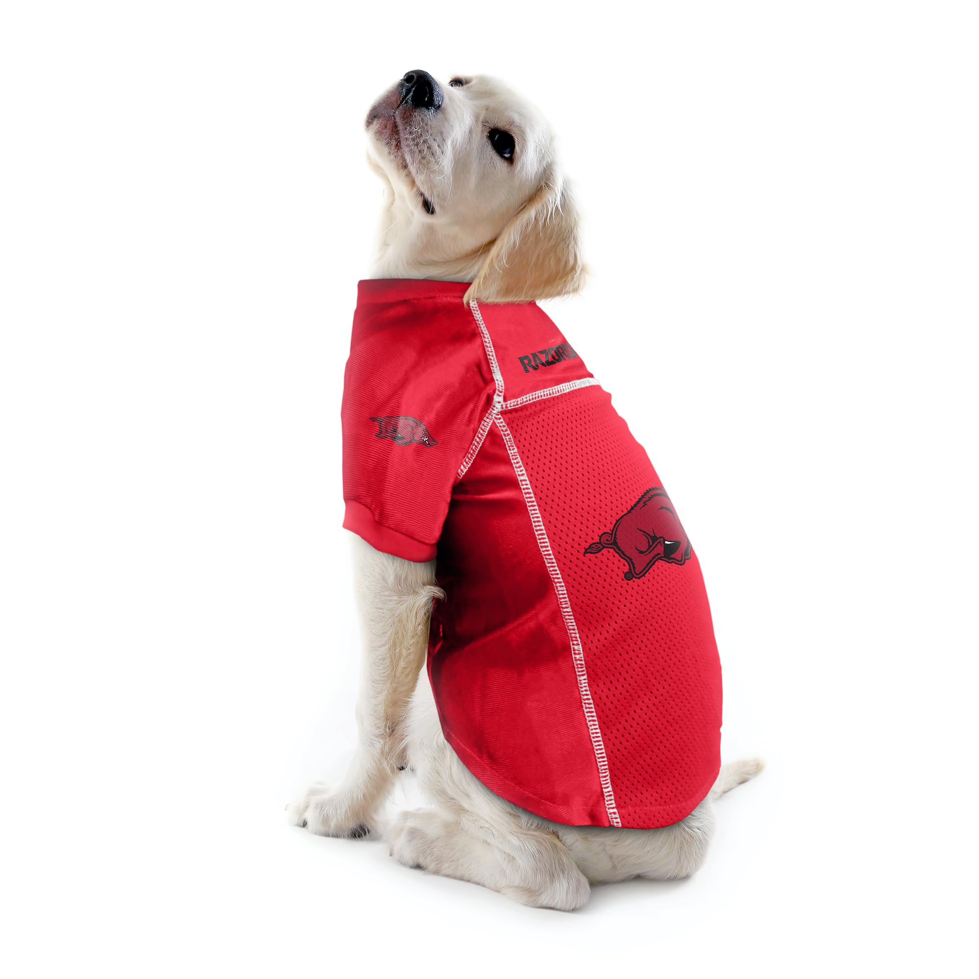 Littlearth Unisex-Adult Ncaa Arkansas Razorbacks Basic Pet Jersey, Team Color, X-Small