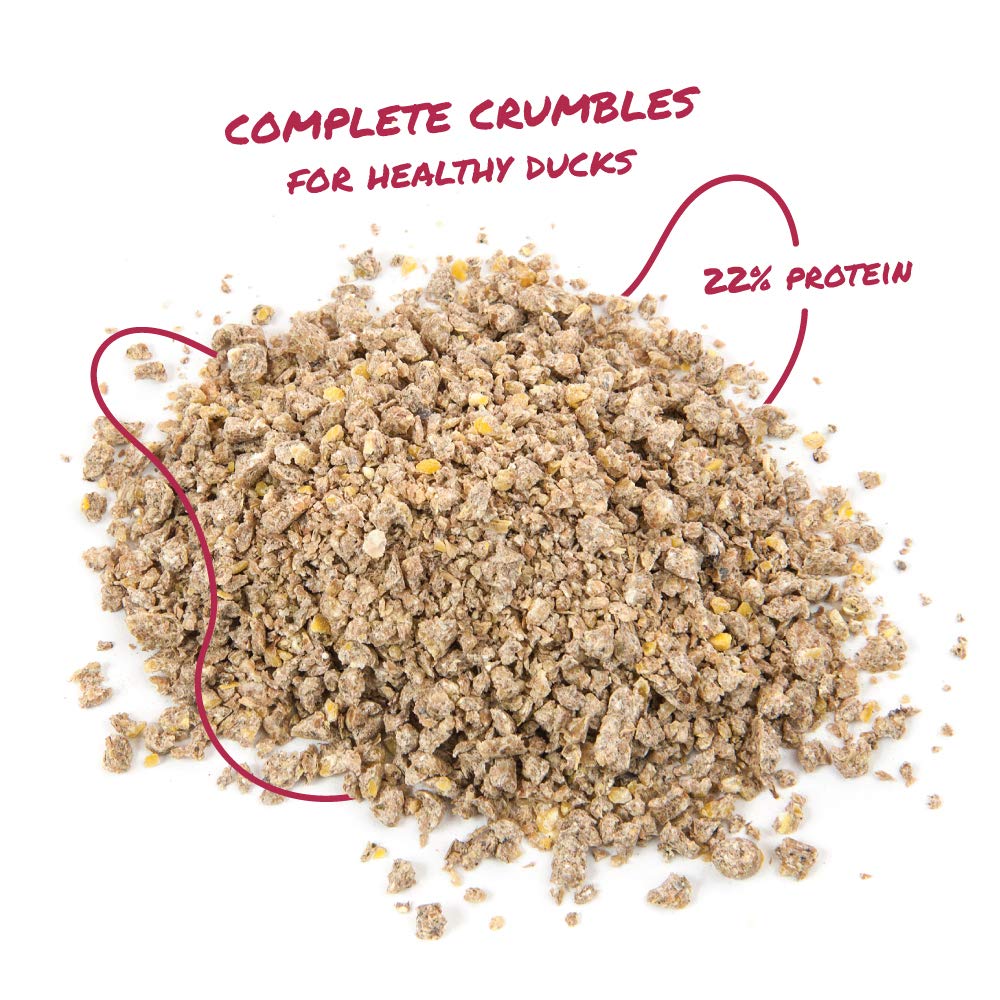 Manna Pro Duck Starter Grower Crumble - Non-Medicated Feed for Young Ducks - Supports Healthy Digestion - 25 Pounds