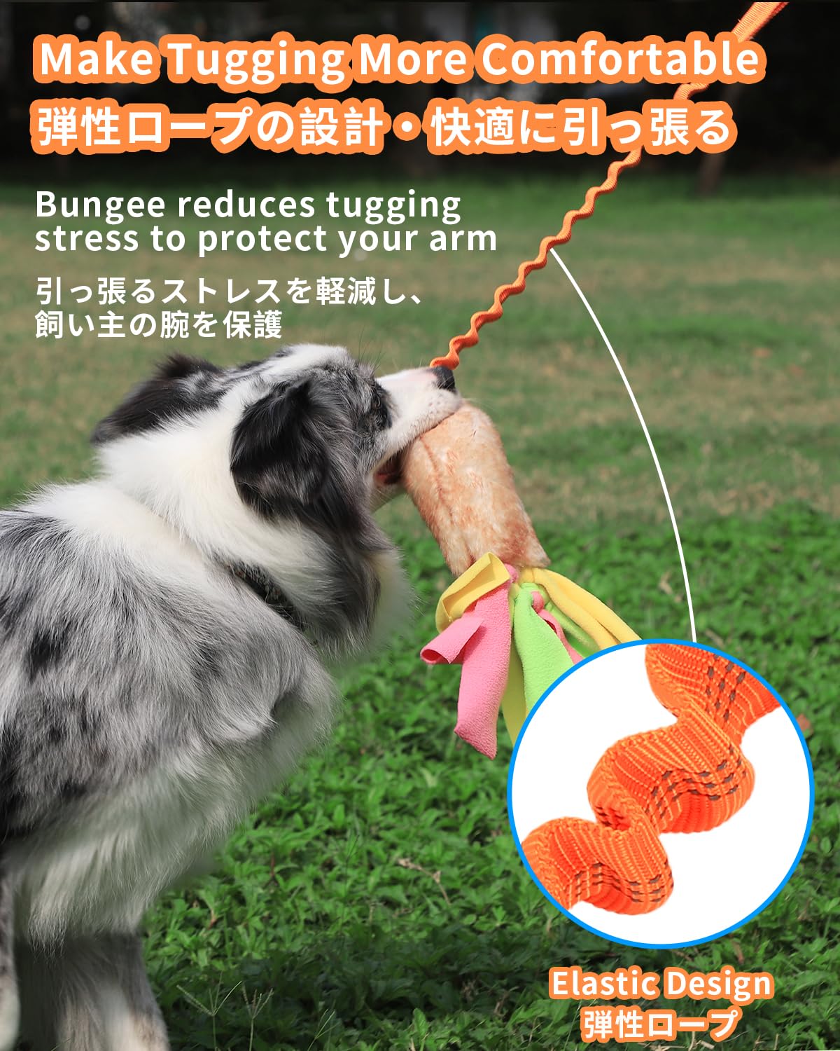 Schitec Dog Tug Toy, Bungee Tug Of War Rope Toys With Squeaky Sound For Exercise & Interactive Play Games, Puppy Training Pull T