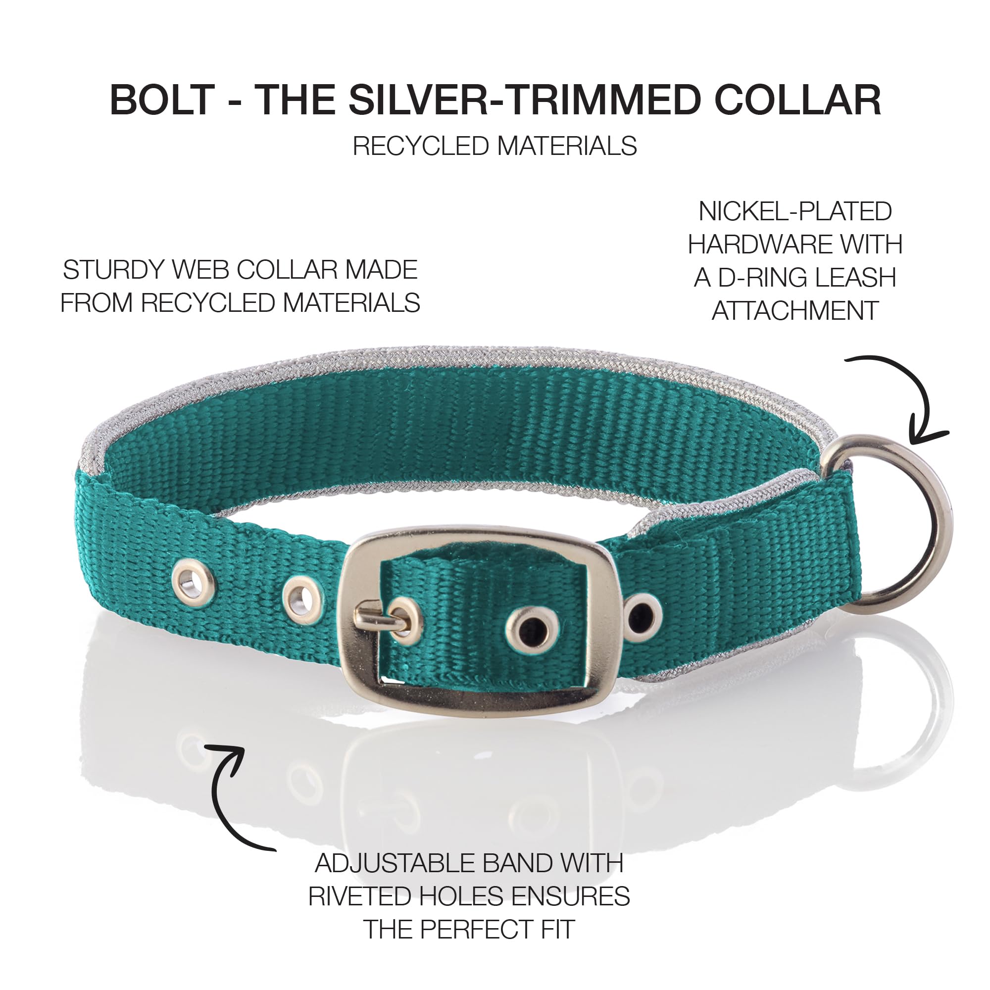Pet Passion Adjustable Silver Trimmed Dog Collar For Pets Small, Medium And Large Dogs, Silver/Turquoise, Small