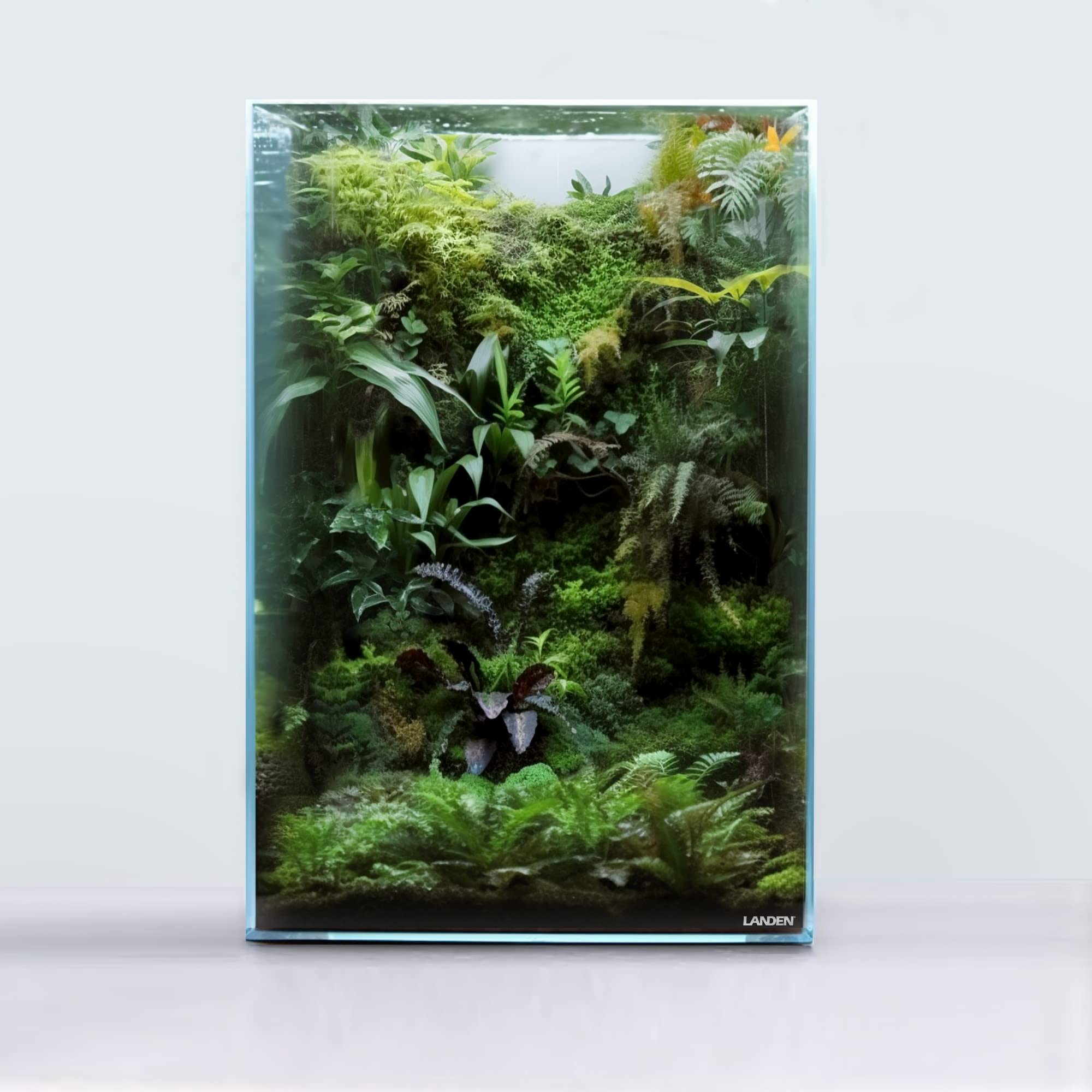 LANDEN Tall Tank, Rimless Low Iron Tank 10GAL 11.8 L    11.8 W    17.7 H (30X30X45) cm Small Aquascape Fish Tank, Vertical Aquas