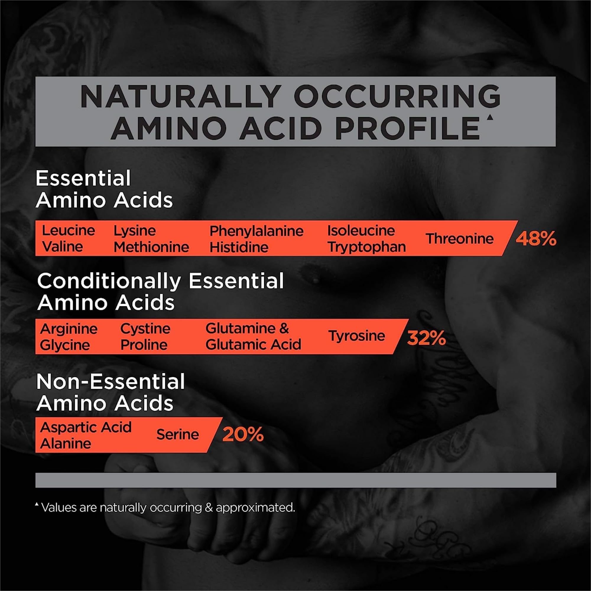 Rule One Proteins, R1 Protein - cafe Mocha, 25g Fast-Acting, Super-Pure 100 Isolate and Hydrolysate Protein Powder with 6g BcAAs