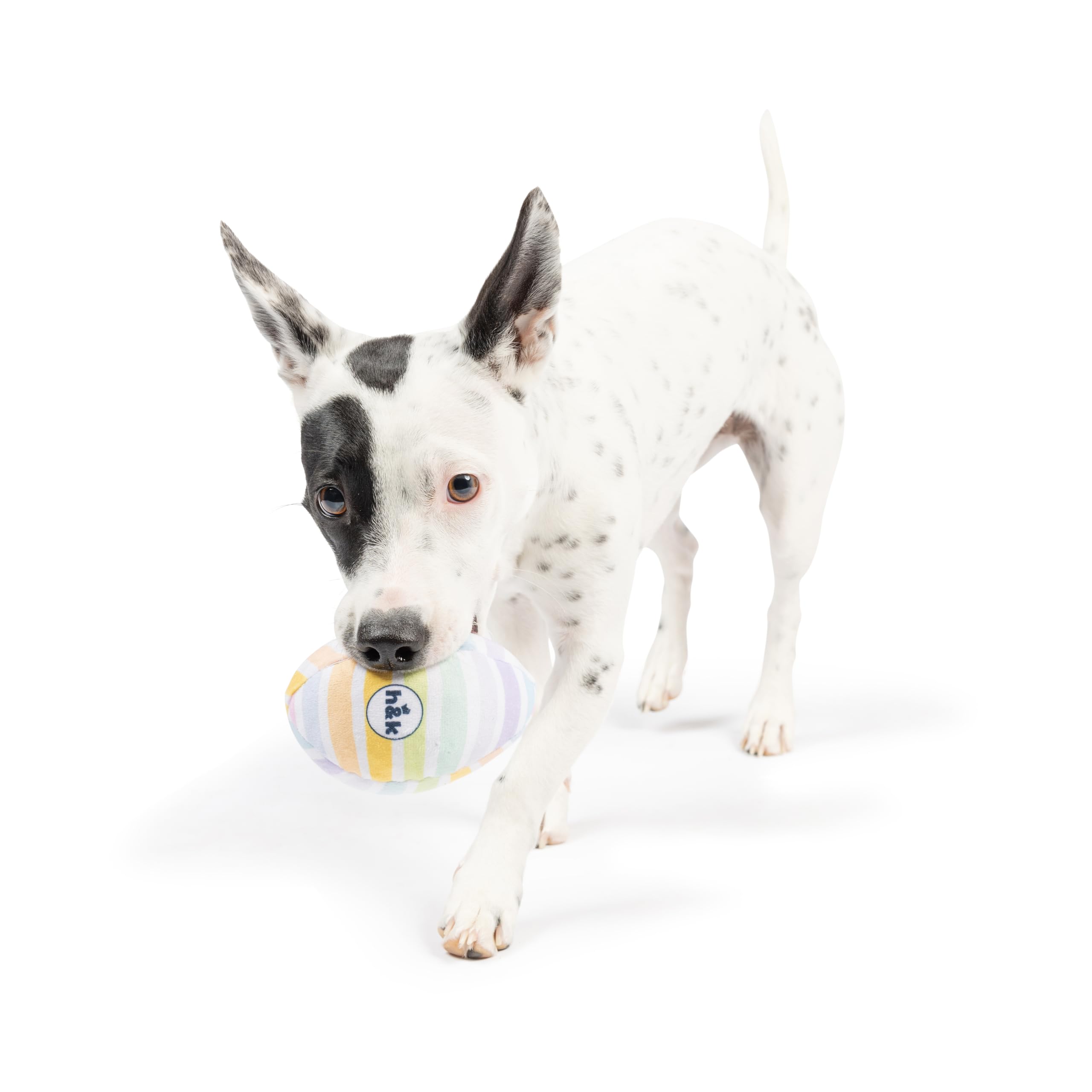 Huxley & Kent Tiny Tuff - Squeaky Eggs - Easter/Spring Extra Tough Dog Toy For Small Dogs - 2-Pack Funny Dog Toy - Features Sque