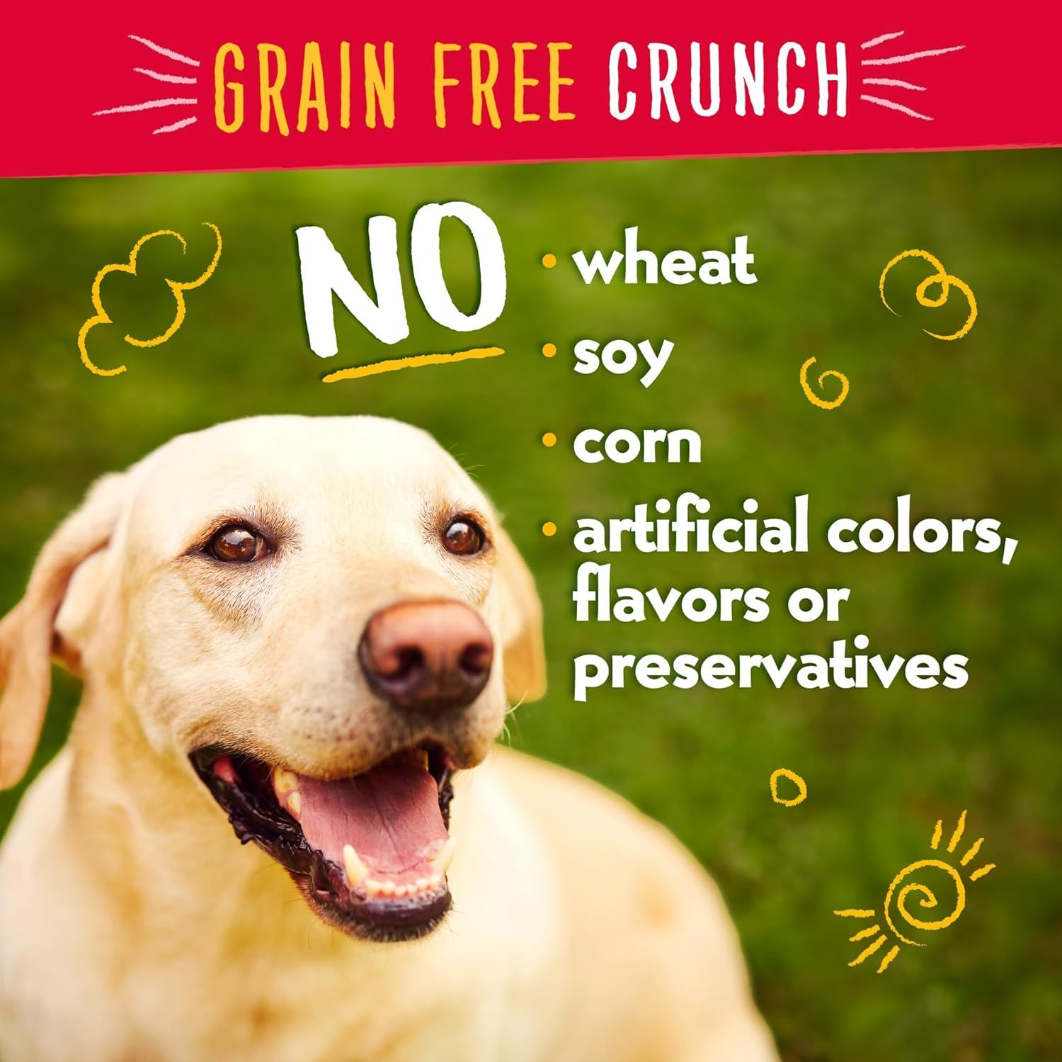 Charlee Bear Dog Training Treats, Grain Free, 8oz (Pack of 2), Chicken, Pumpkin & Apple, Low Calorie, Crunchy for All Breeds