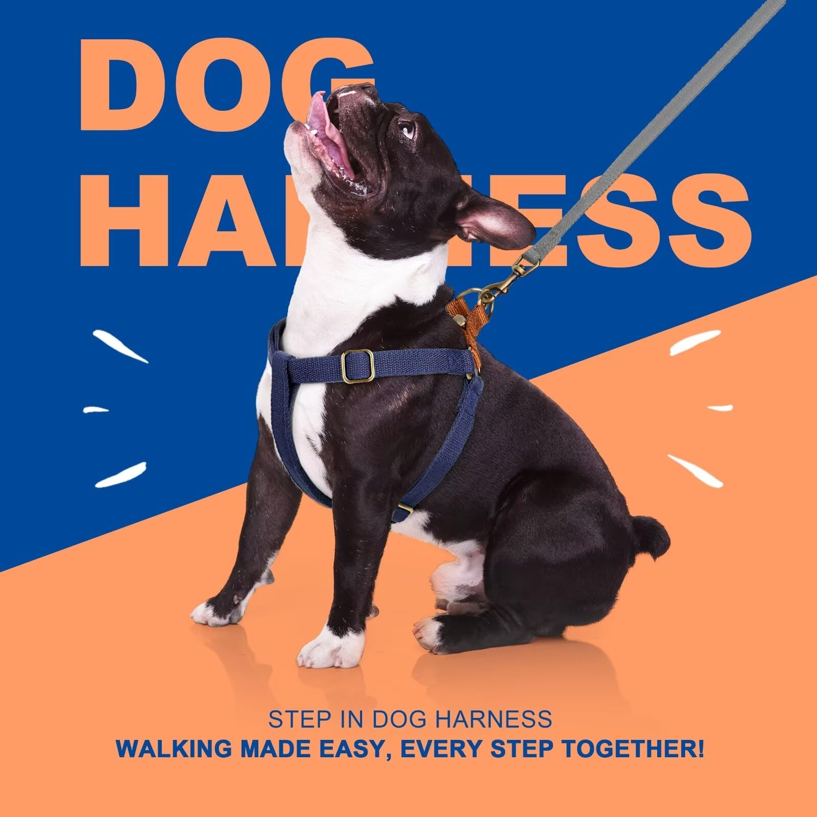 Didog Step In Dog Harness With Metal Buckles, Freedom Nylon Dog Halter Vests For Small Dogs Easy Walking Training(Xs:Chest 9-12'