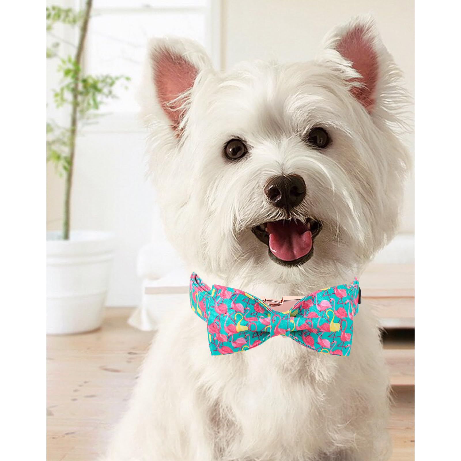 Unique Style Paws Summer Dog Collar With Bow, Flamingo Bow Tie Dog Collar,Cute Puppy Collar Green Dog Bow For Girl,Boy Dogs,M,13