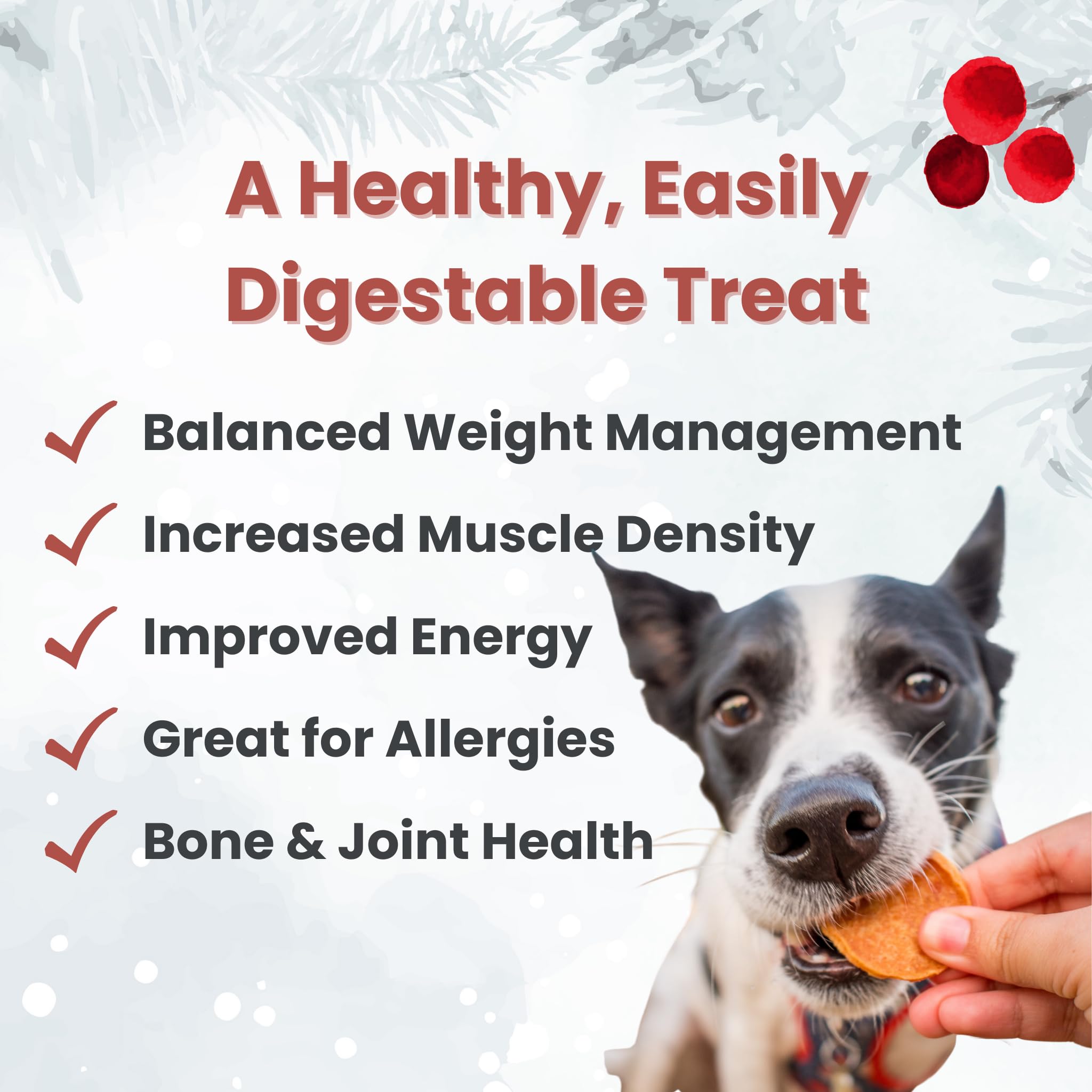 Farm To Pet Chicken Chips for Dogs - Single Ingredient All Natural Dog Treats for Small, Medium, & Large Dogs  Healthy Training