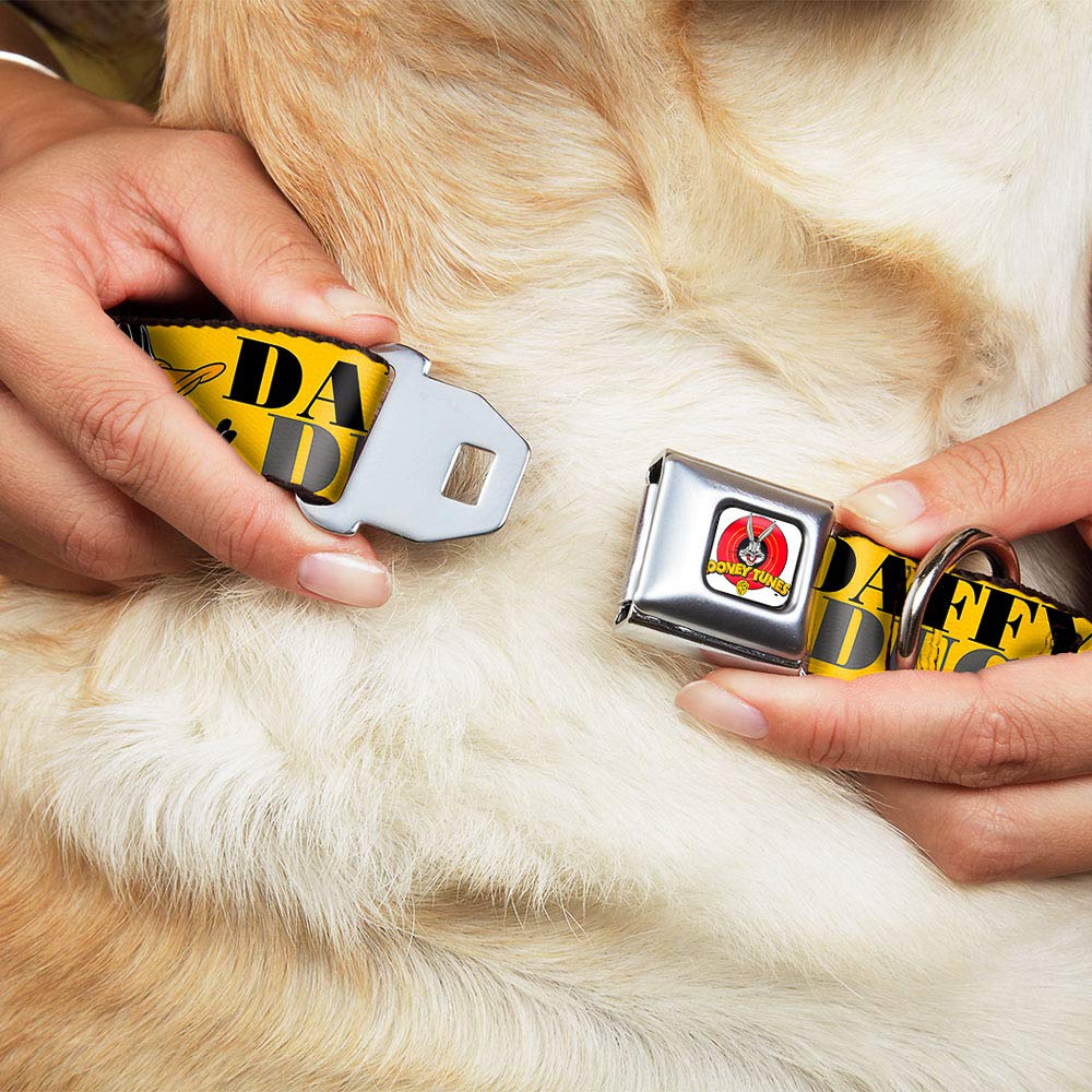Buckle-Down Seatbelt Buckle Dog Collar - DAFFY DUCK w/Poses Yellow/Black - 1.5 Wide - Fits 13-18 Neck - Small