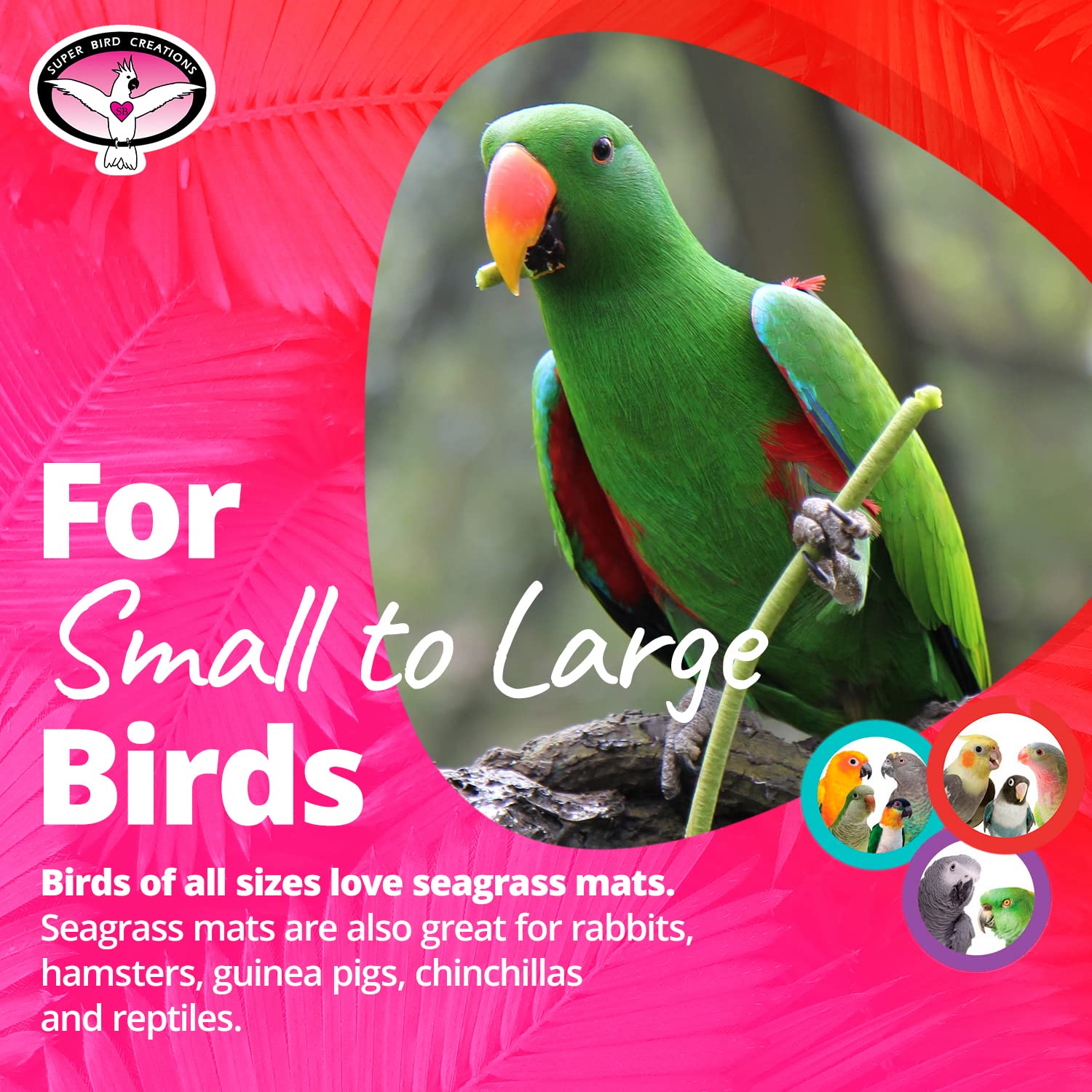 Super Bird Creations Sb50002 Seagrass Mat For Cage Decor, Pet Enrichment And Boredom Relief - Versatile Toy-Making Base - Ideal