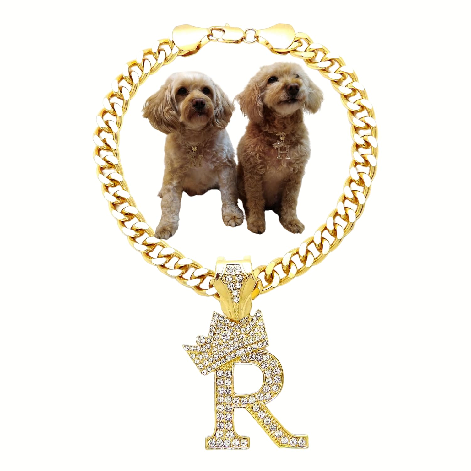 Initial Letter Cuban Chain Dog Chain Pet Chain Pet, Cat, Puppy Necklace (R, 30'')