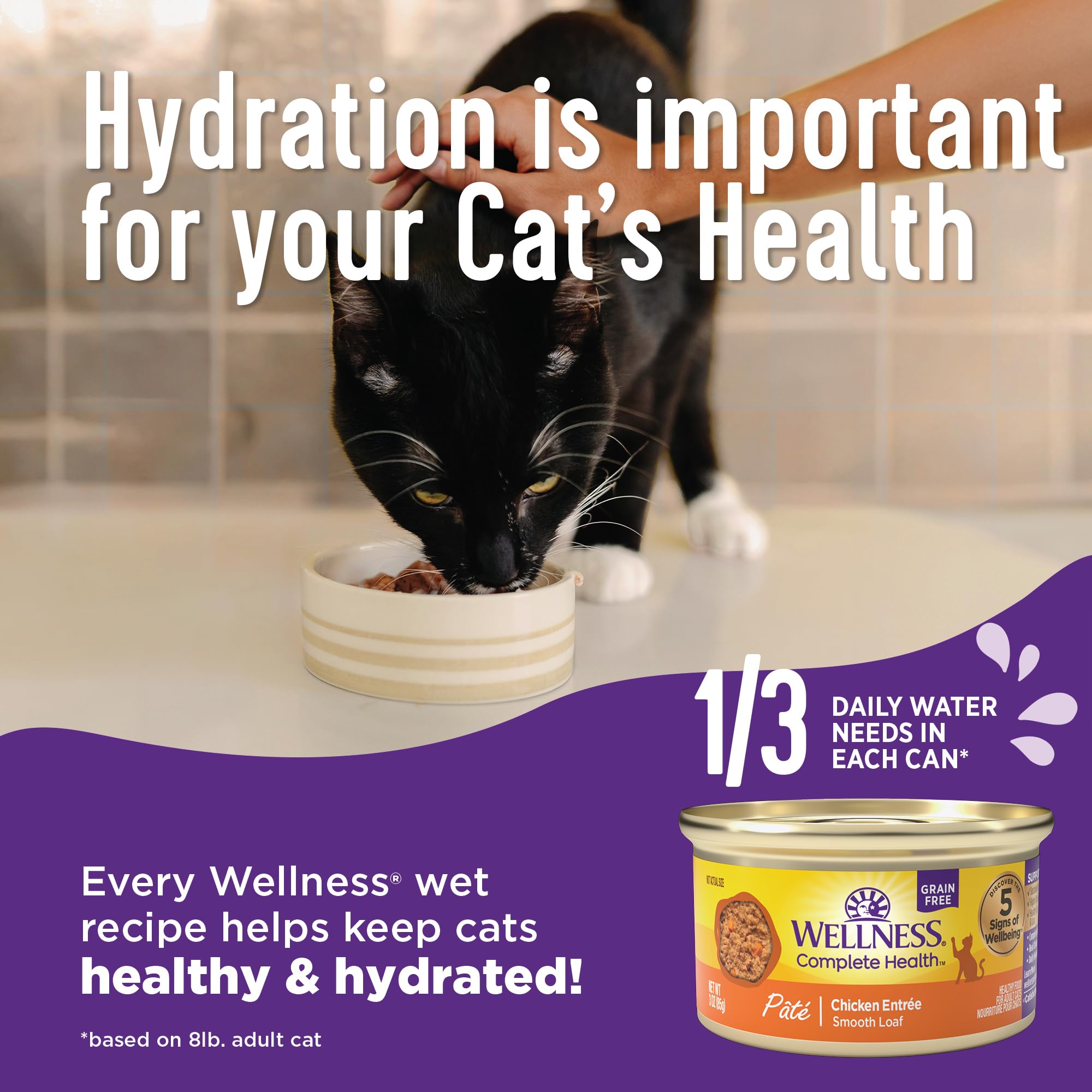 Wellness Complete Health Grain-Free Wet Canned Cat Food, Natural Ingredients, Made with Real Meat, All Breeds, Smooth Pate (Beef