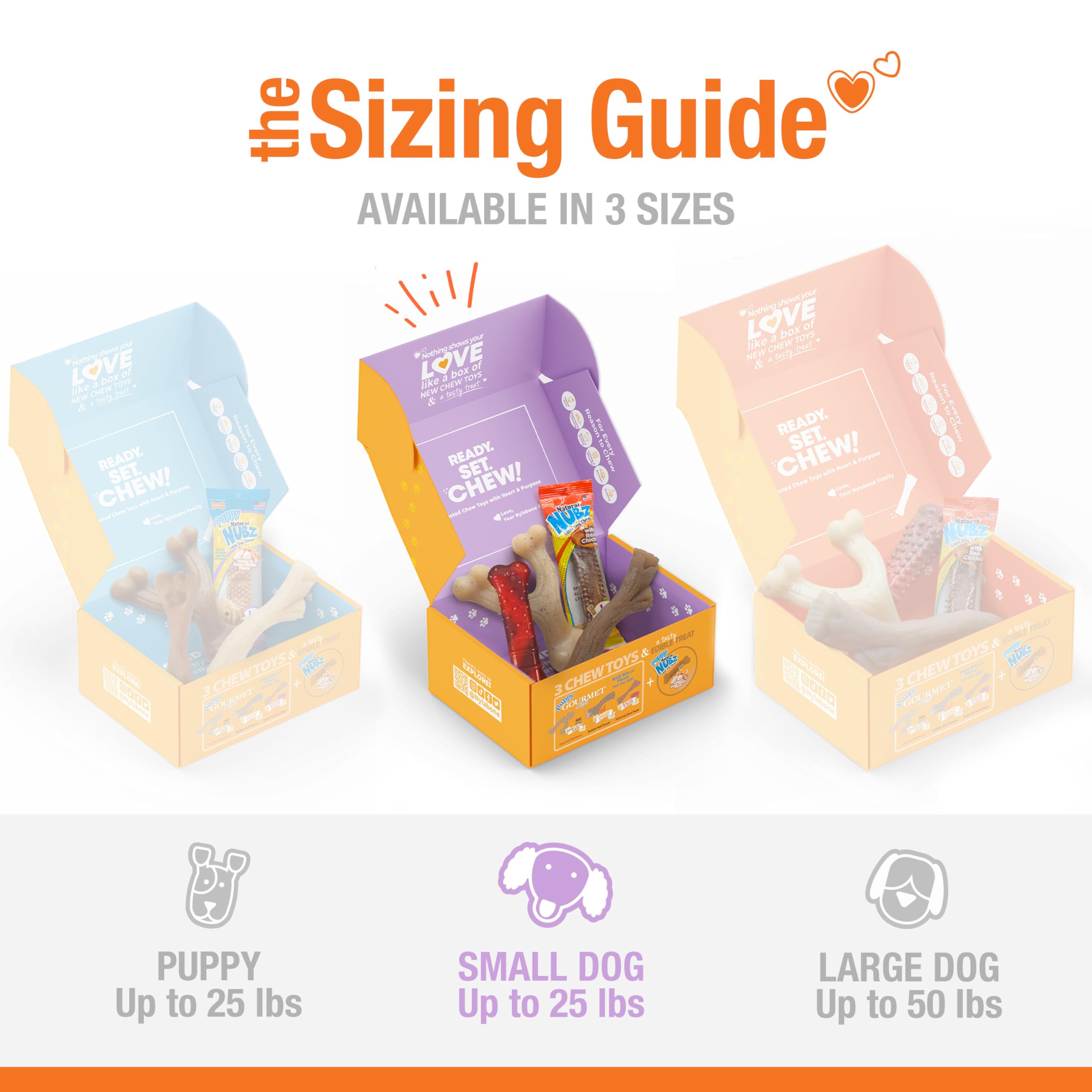 Nylabone Dog Gift Box, Includes 3 Strong Chew Toys and 1 Natural Treat, Gifts for Dogs, Small - Up to 25 lbs, 4 Pack