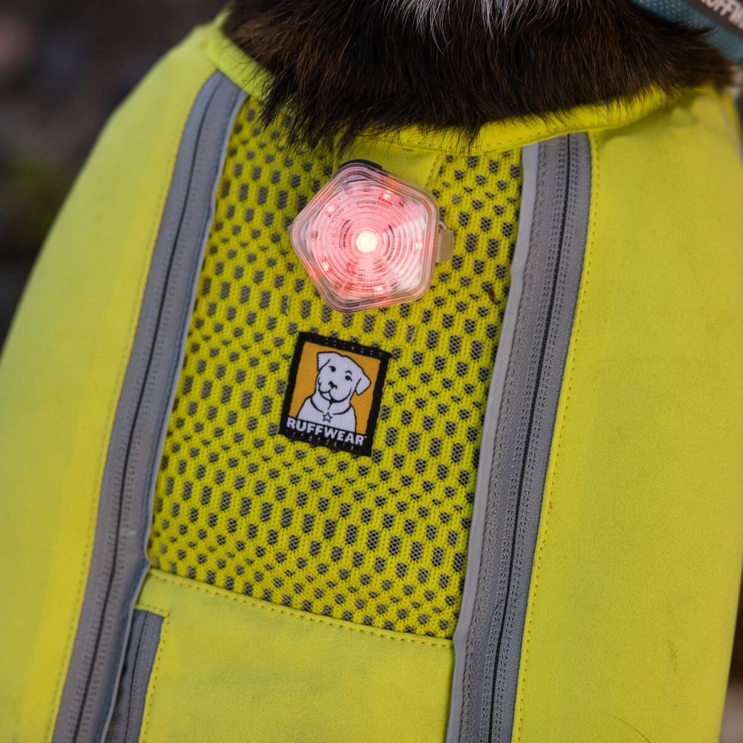 Ruffwear Beacon Safety Light for Dogs - Clear Lake Color, Model 55103-102