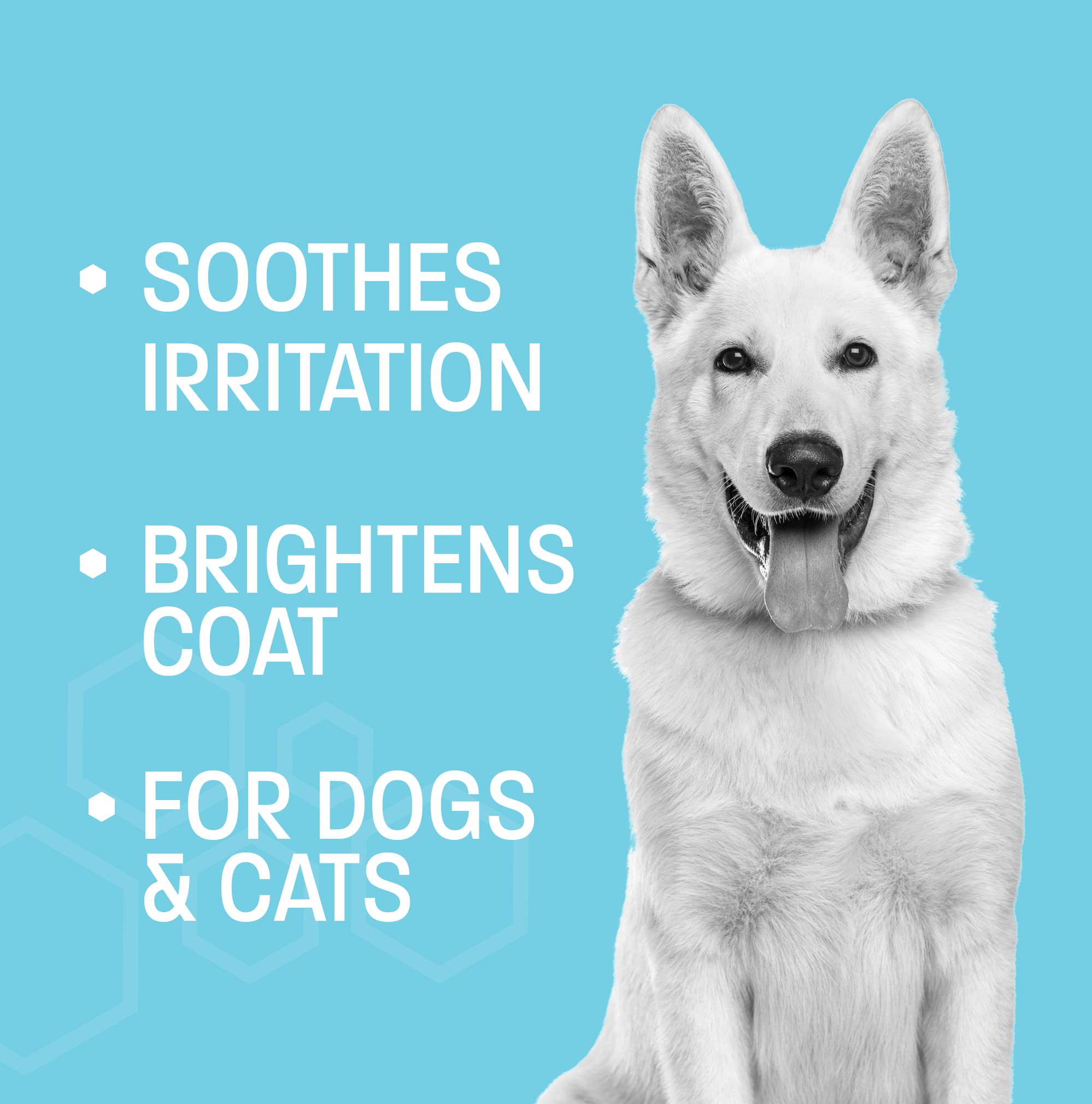 Pet Health Pros Dog Whitening Shampoo For Dogs - White Dog Shampoo Whitening For White Coats - Brightening Shampoo For White Dog