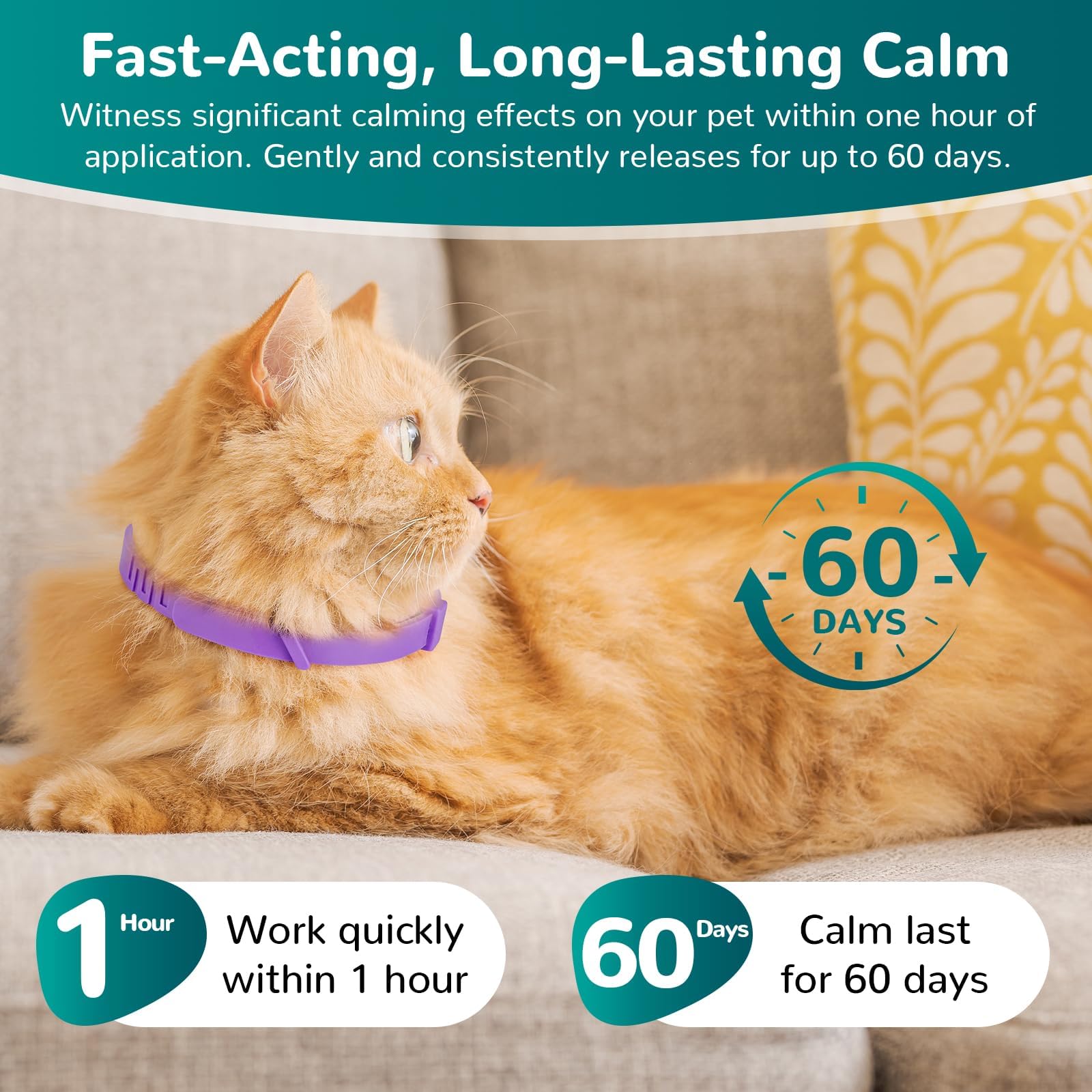 Trail Tail Calming Collar For Cats, Pheromone Collar For Cat Anxiety Relief (Grey, 2 Pack)