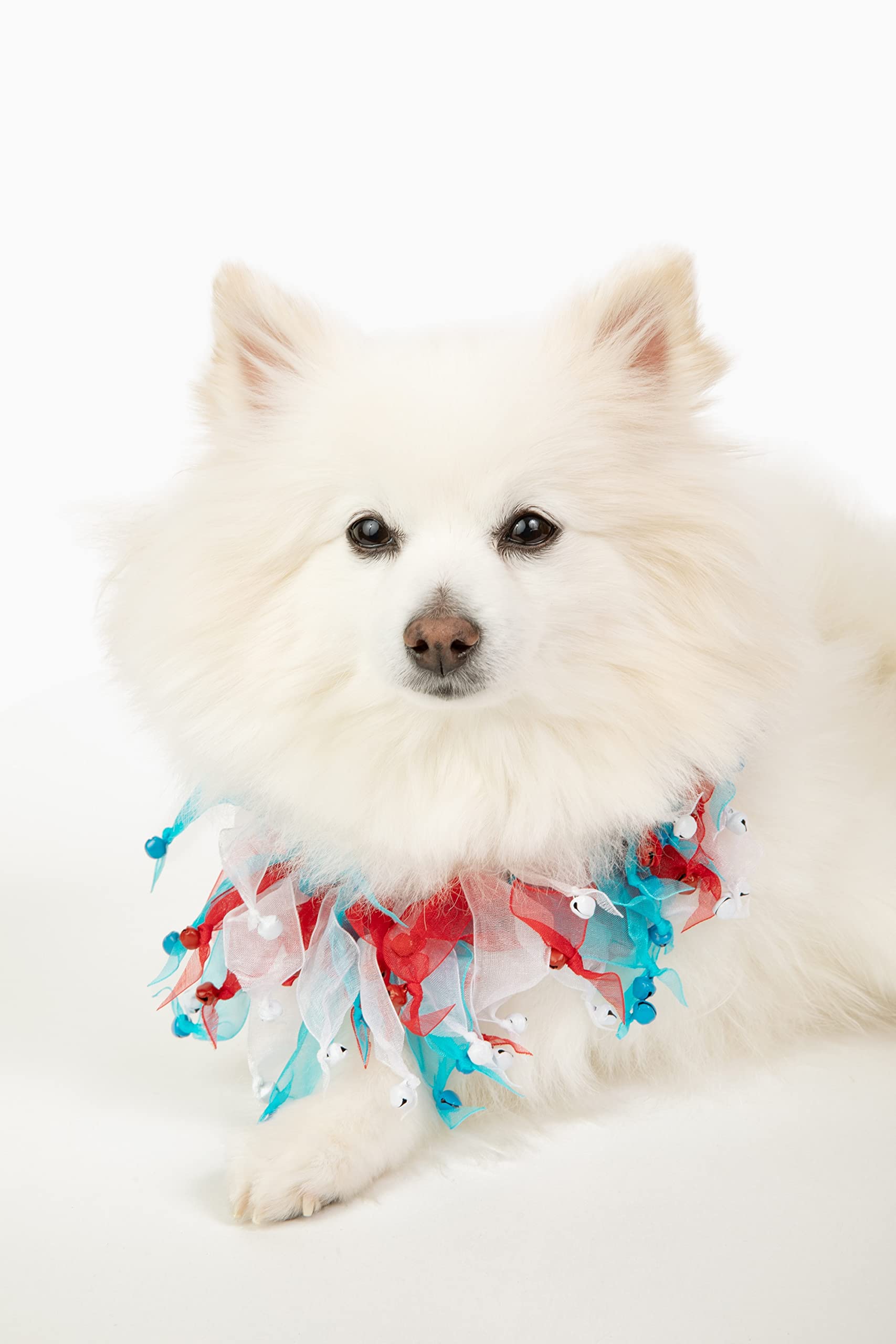 Midlee 4Th Of July Decorative Dog Bell Collar (Large)