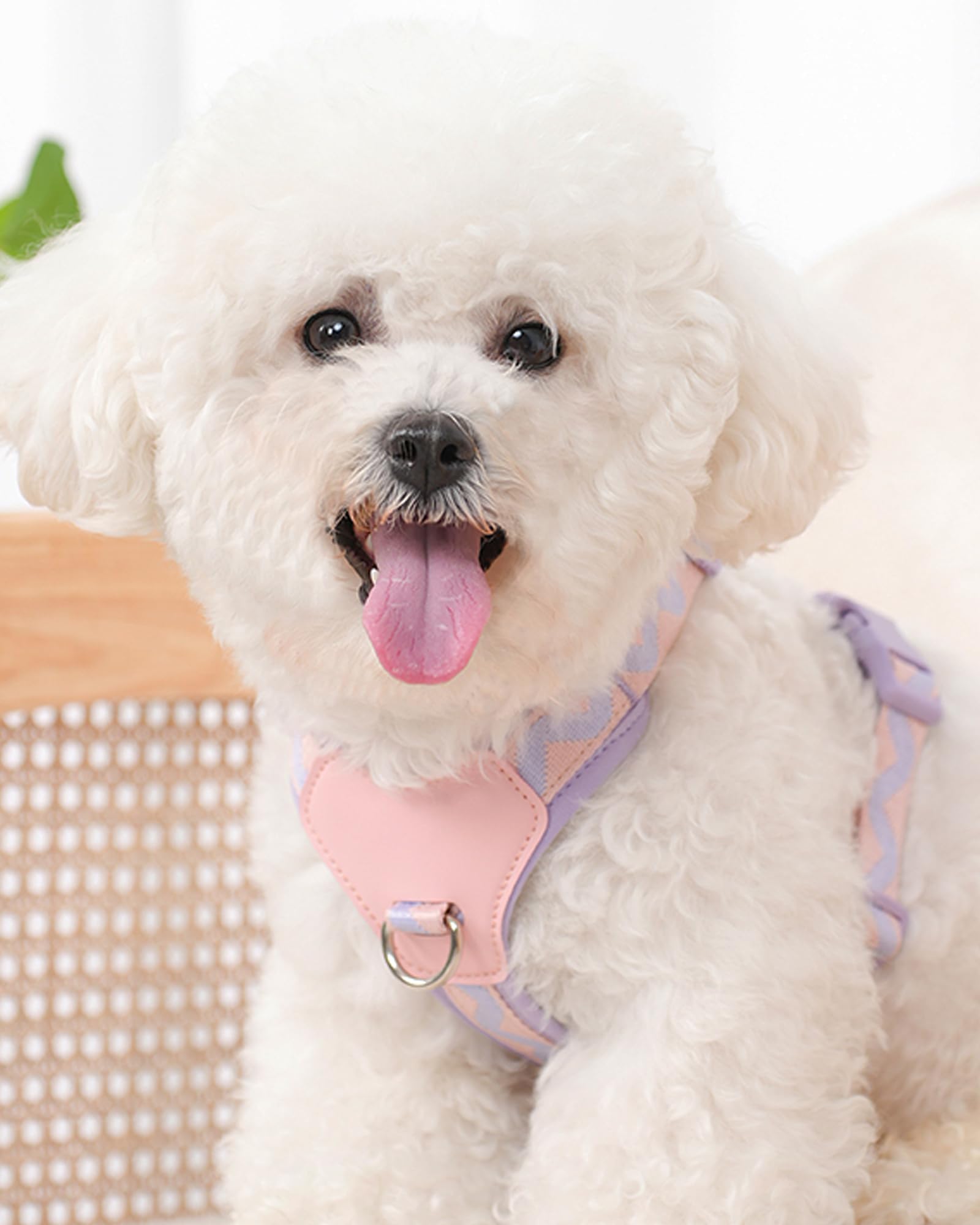 Purple Xs Dog Harness For Small Dogs, No Pull Dog Harness With 2 Leash Clips, Puppy Harness, Dog Vest Harness(Purple, Xs)