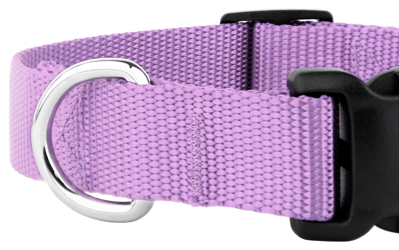 Country Brook Petz - 30+ Vibrant Colors - American Made Deluxe Nylon Dog Collar With Buckle (Micro, 3/8 Inch Wide, Lavender)