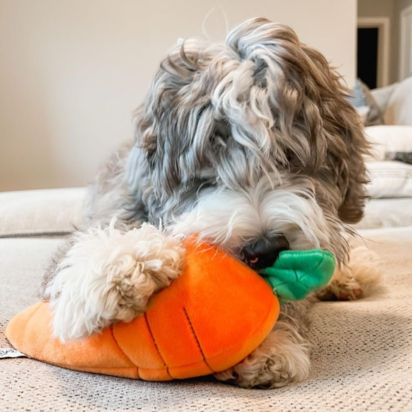 Midlee Hide A Toy Carrot Easter Dog Toy