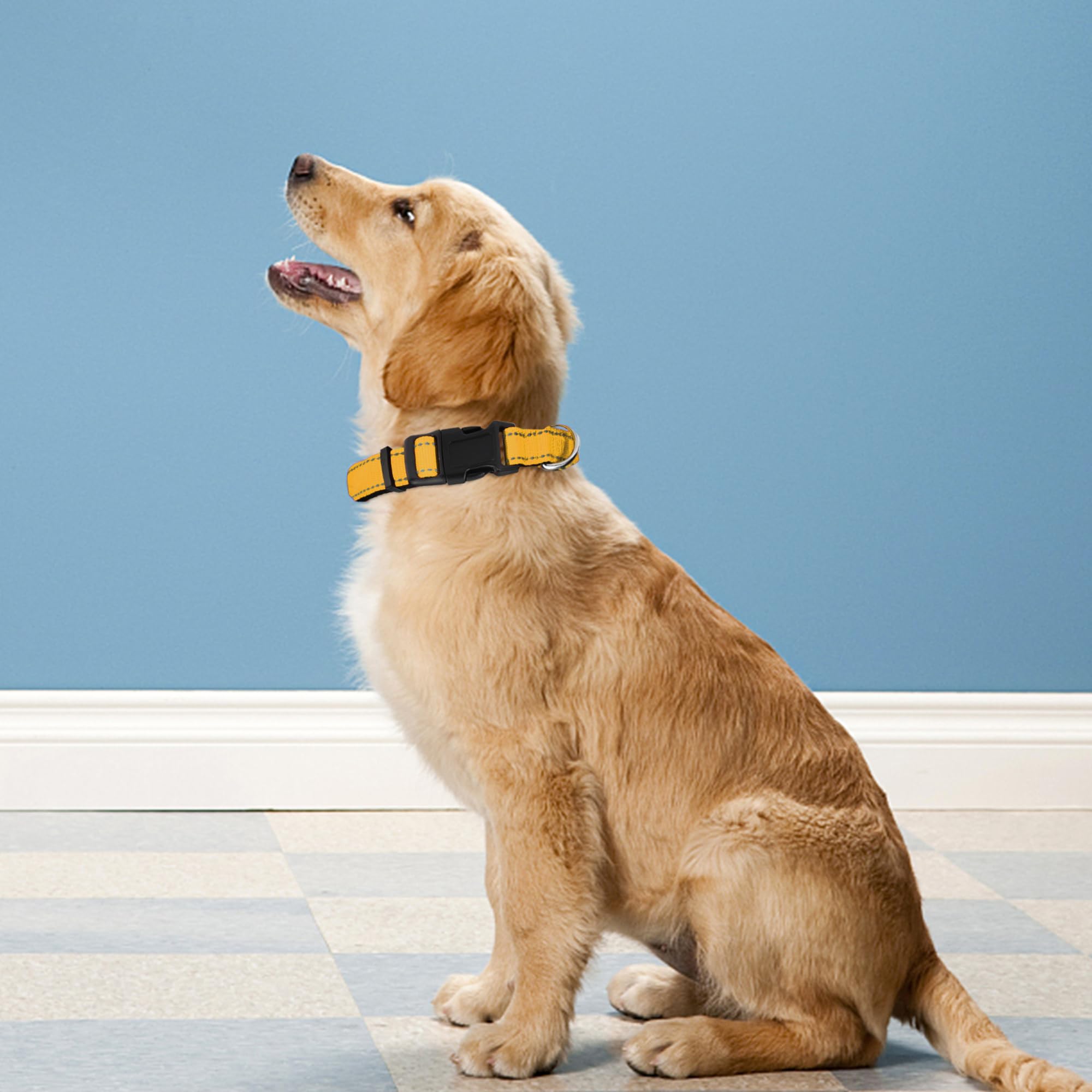 Pwod Reflective Dog Collar, Adjustable Soft Neoprene Padded Nylon Pet Collars With Buckle For Medium Dogs, Yellow,M
