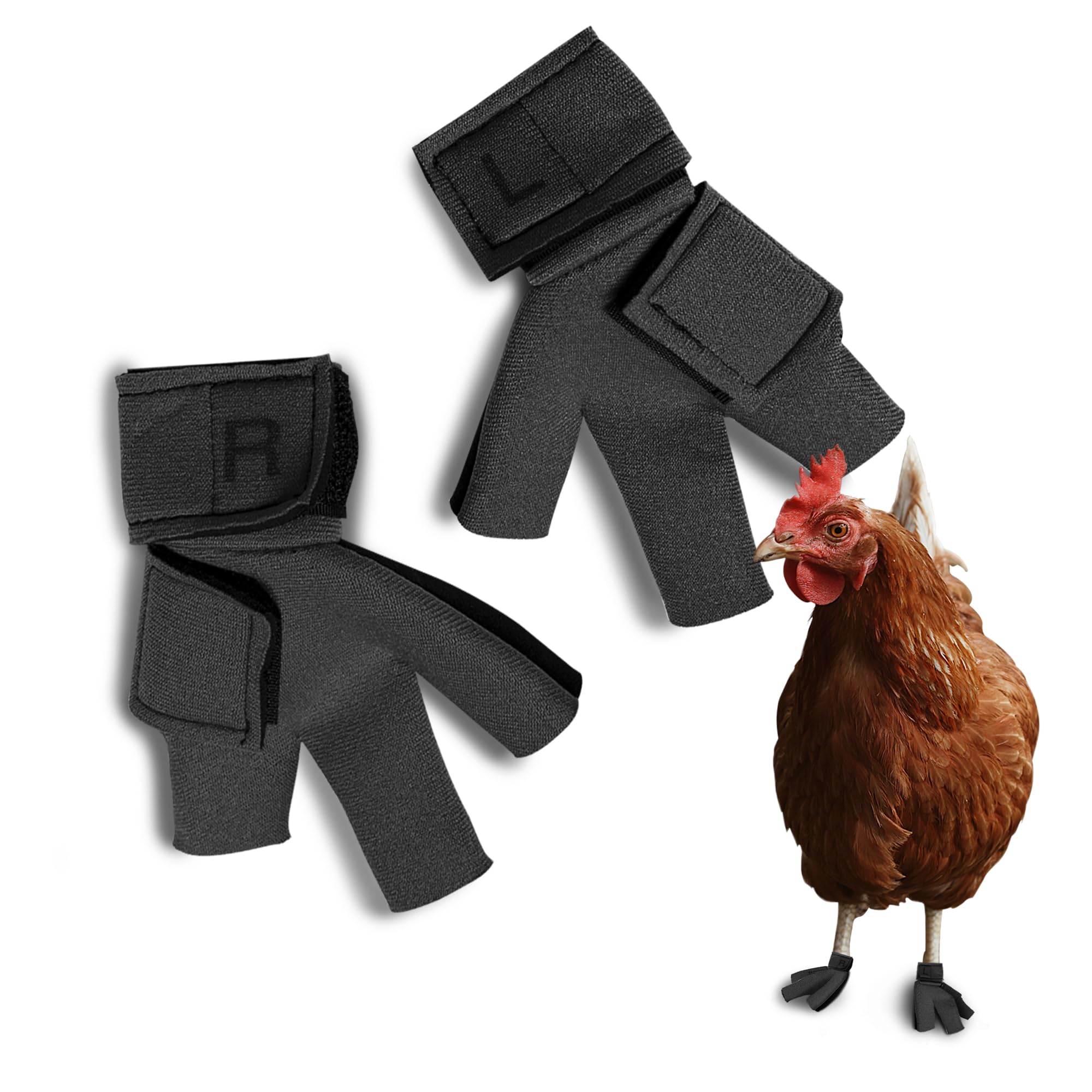 Birdy Bootie Chicken Shoes for Injured Feet - Protective Neoprene Footwear for Chicken, Open-Toe Design for Bumblefoot Relief, M