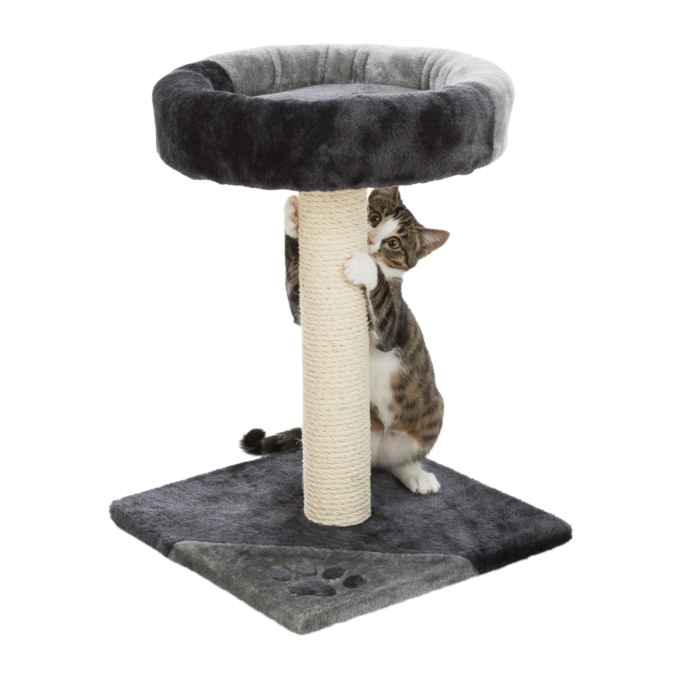 Trixie Tarifa Cat Scratching Post 20.5 Inch - Cat Scratcher With Soft Fabric Covering Base And Durable Sisal Rope - With Padded Platform - In Gray/Black