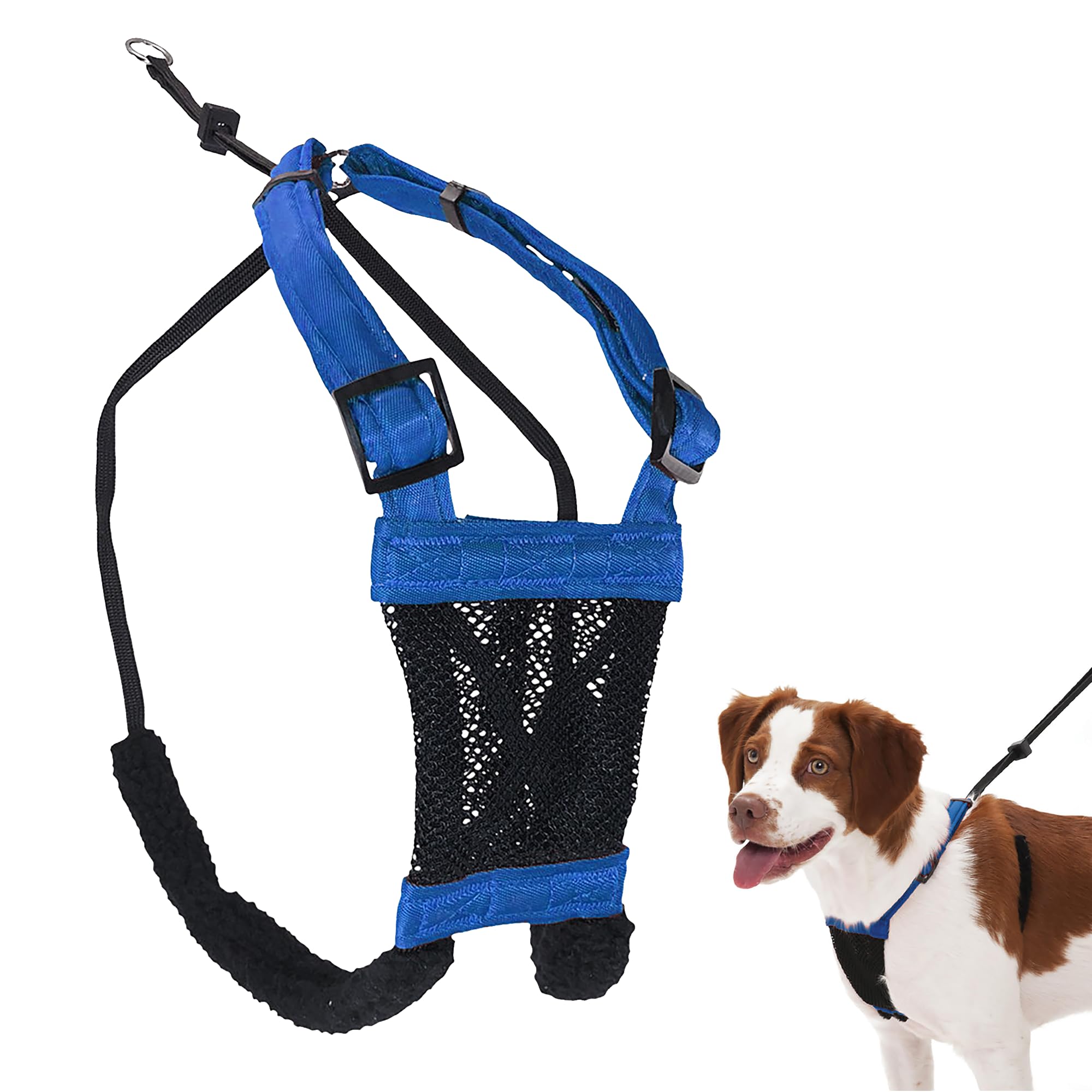 Sporn Mesh Non Pull Dog Harness Medium Blue, Perfect For Training-Stops Dogs From Pulling And Choking On Walks For Small, Medium