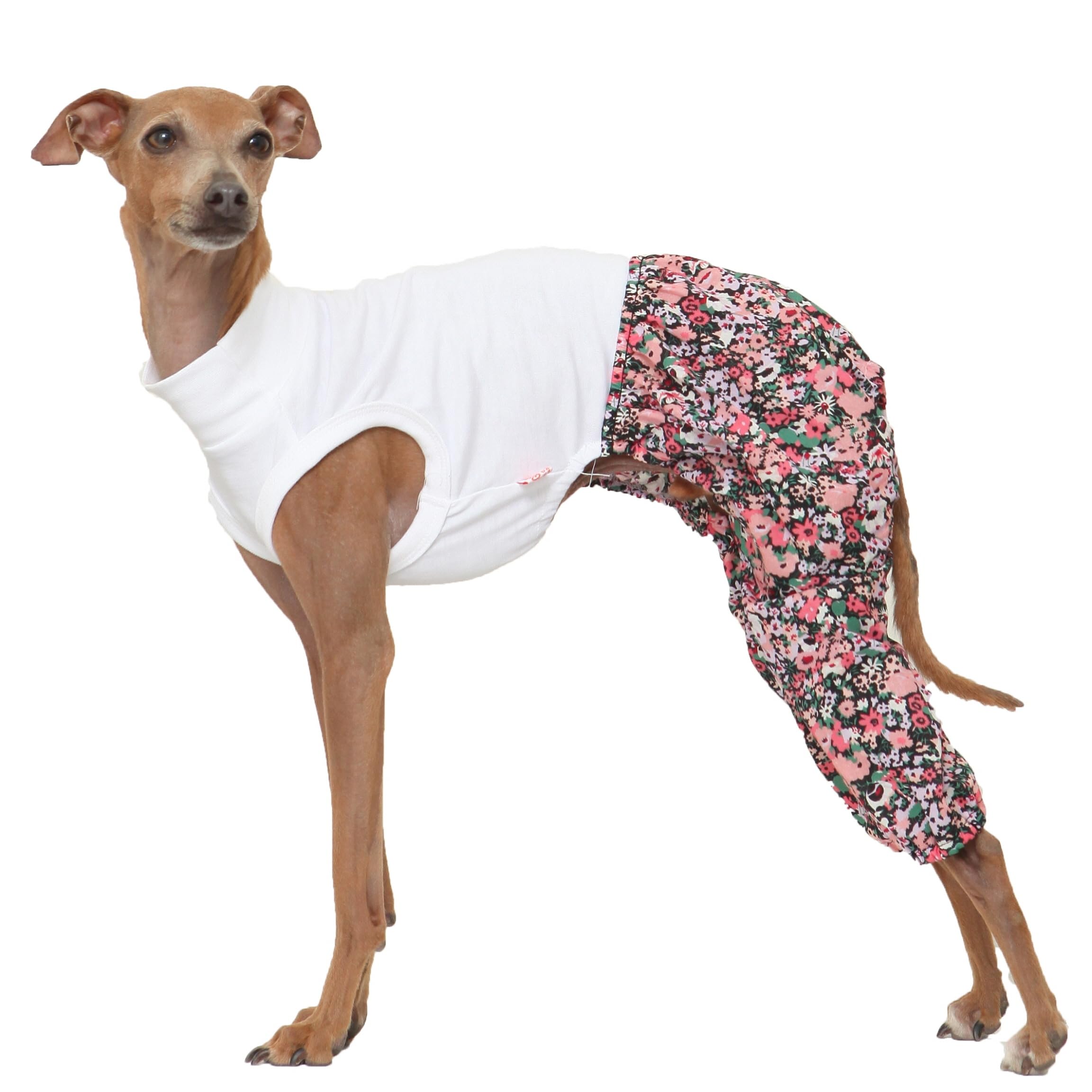 D Doggy Star Italian Greyhound Clothes Mombbe Onesie Outfit Whippet For Dog Coat (Xl,Mombbe Black)