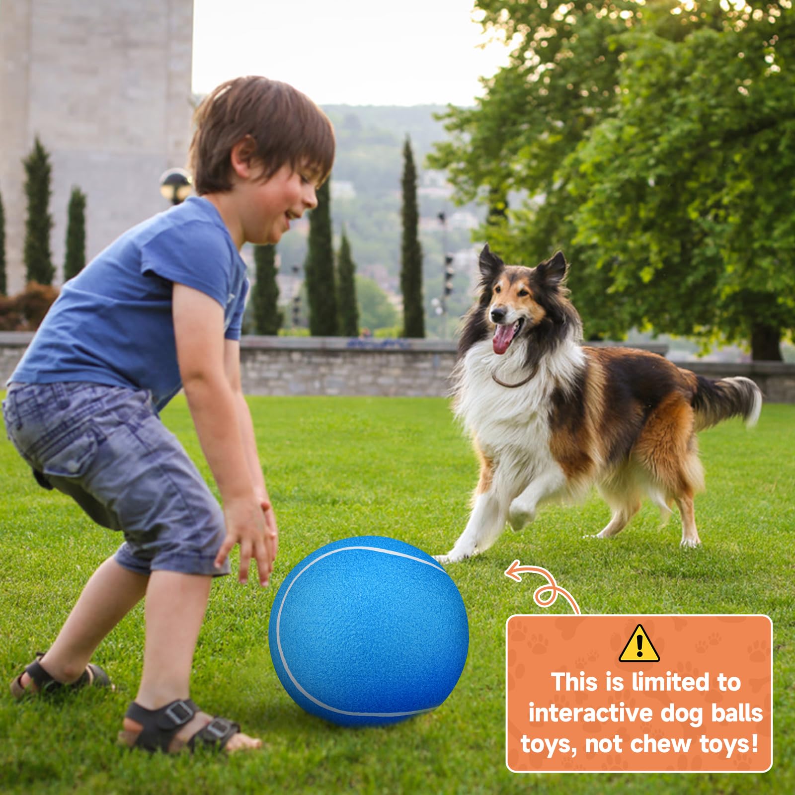 QDAN Giant Large Tennis Ball for Dogs, 9.5" Natural Rubber, Blue, Perfect for Outdoor Play, Suitable for Small Medium Large Dogs