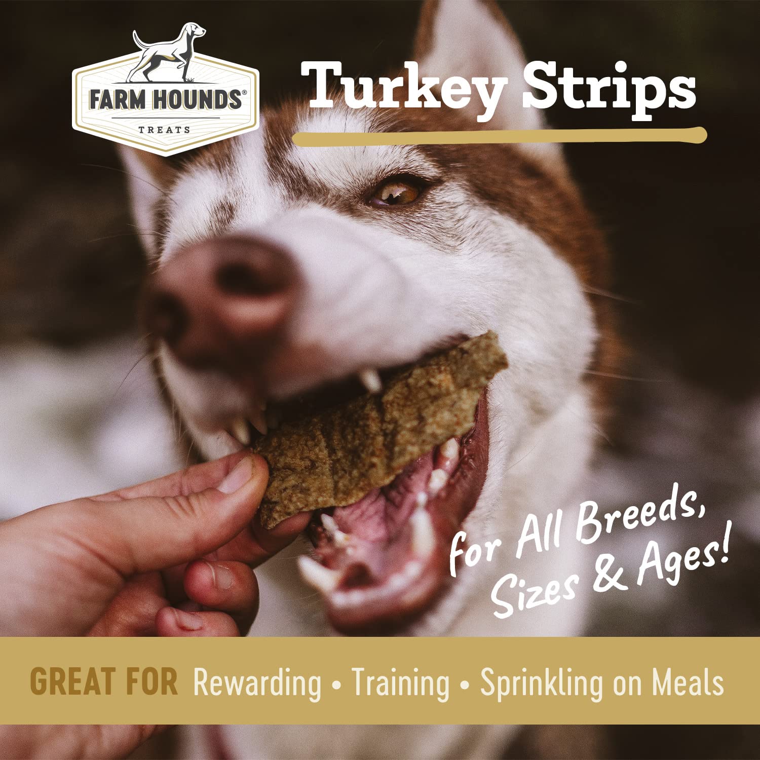 Farm Hounds - Turkey Strips - Premium Natural Jerky for Dogs - 100% Humanely Raised Turkey - Break-to-Size - Great for Training